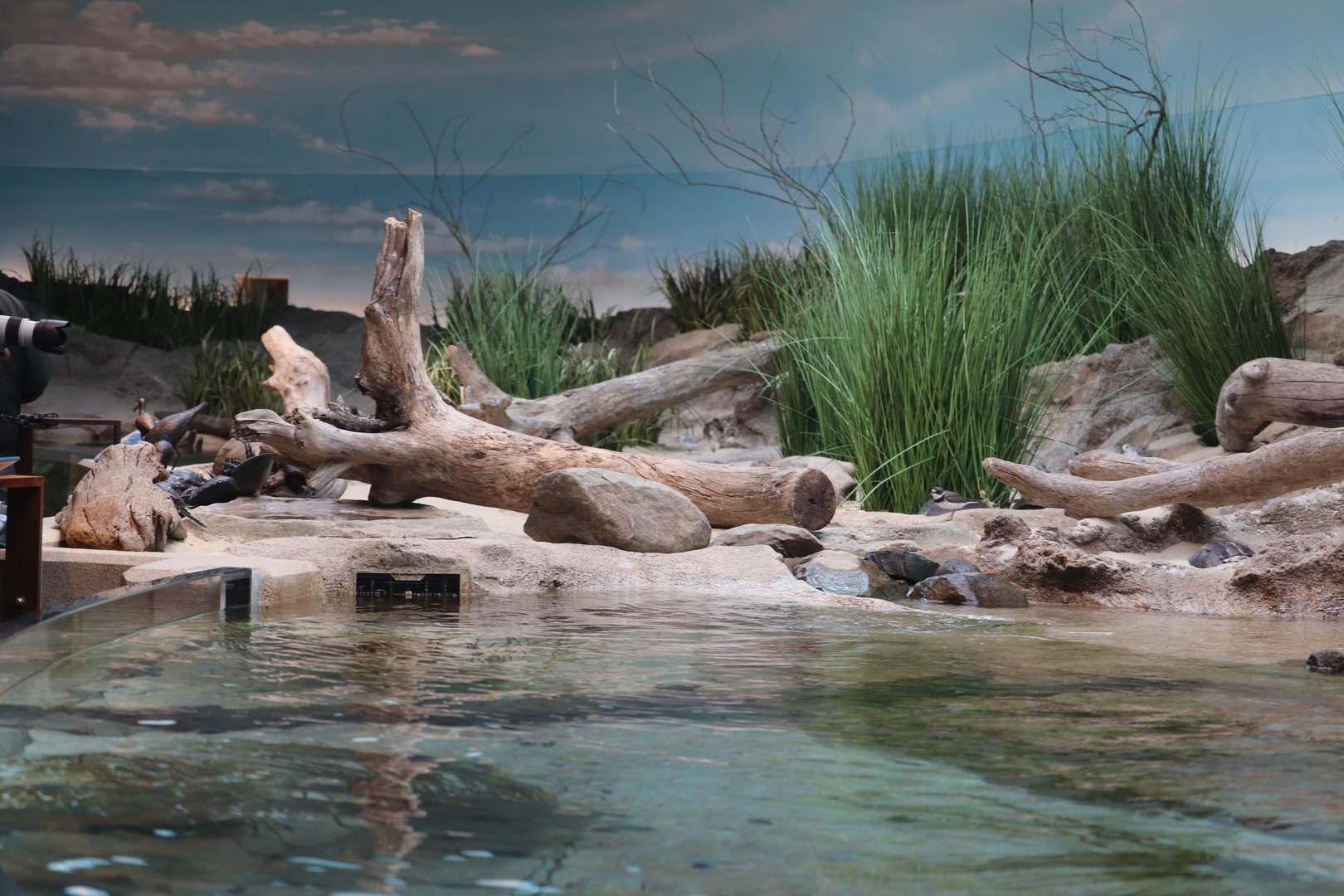 Bird House - View in the Delaware Bay Aviary