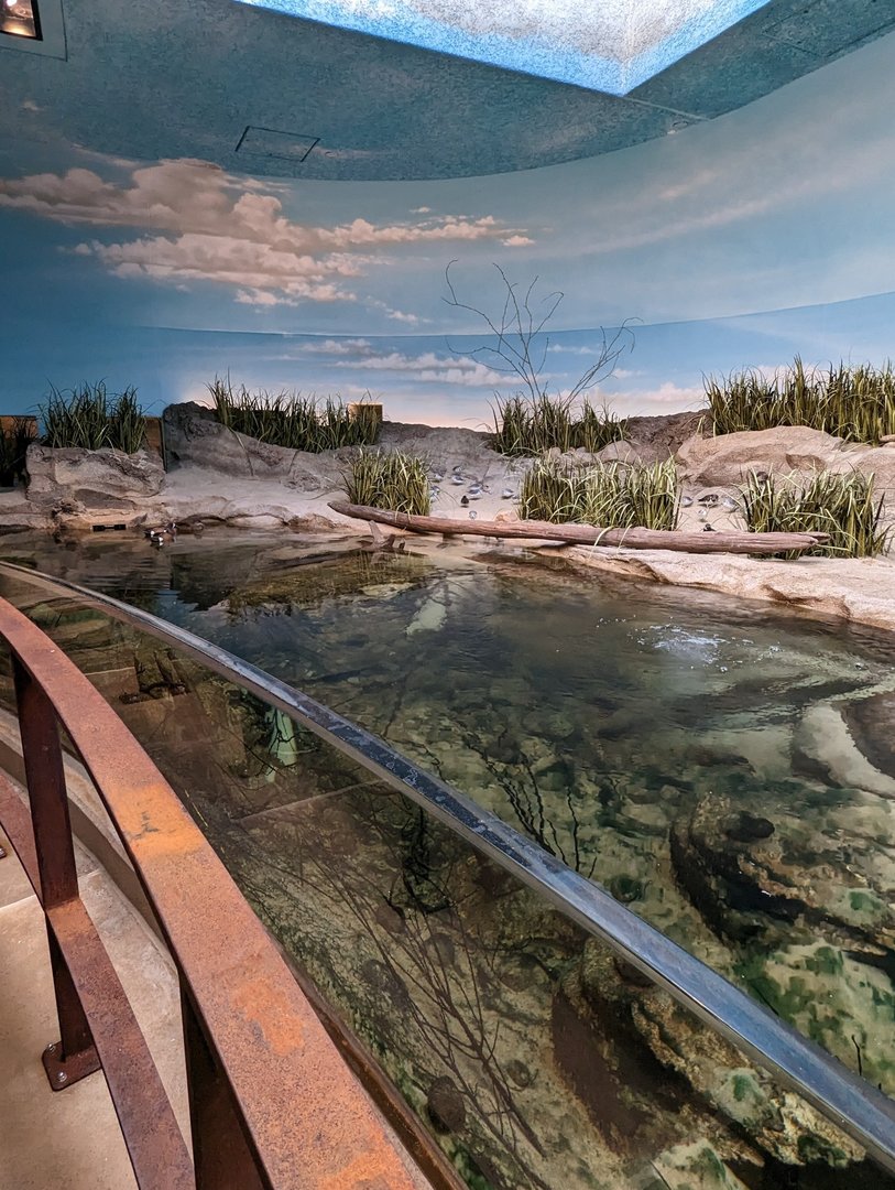 Bird House - View in the Delaware Bay Aviary