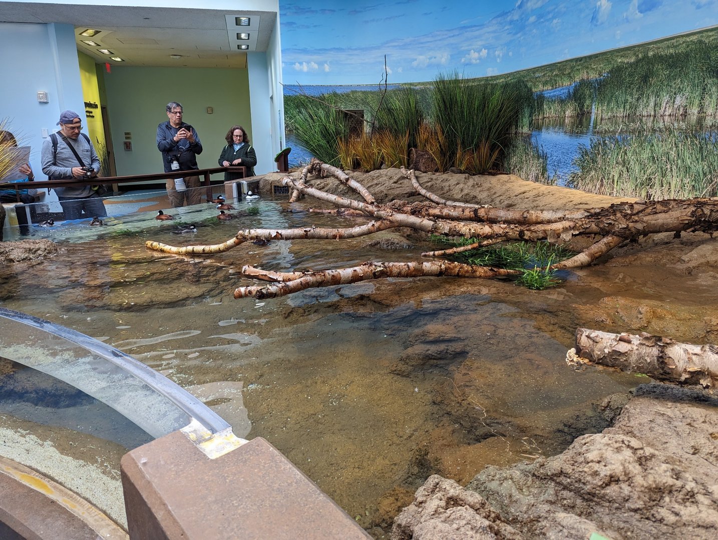 Bird House - View in the Prairie Pothole Aviary