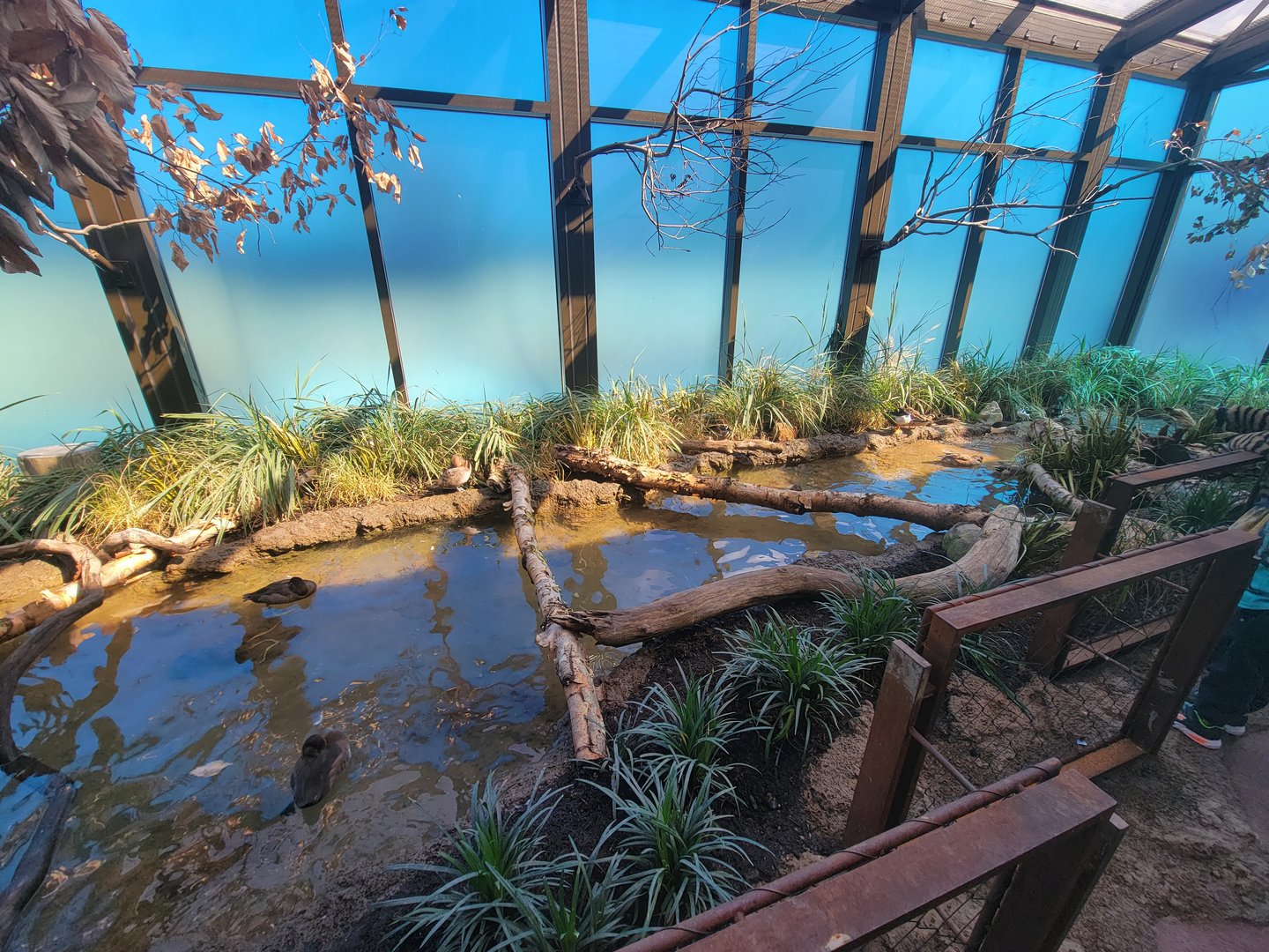 Bird House - View in the Prairie Pothole Aviary