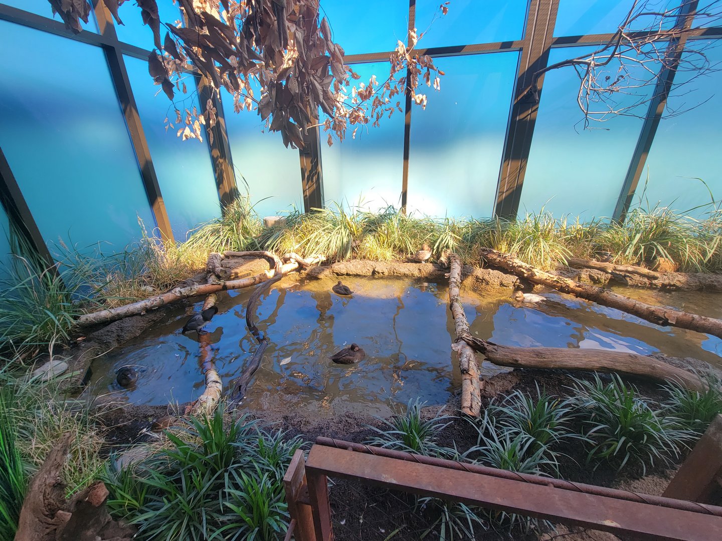 Bird House - View in the Prairie Pothole Aviary