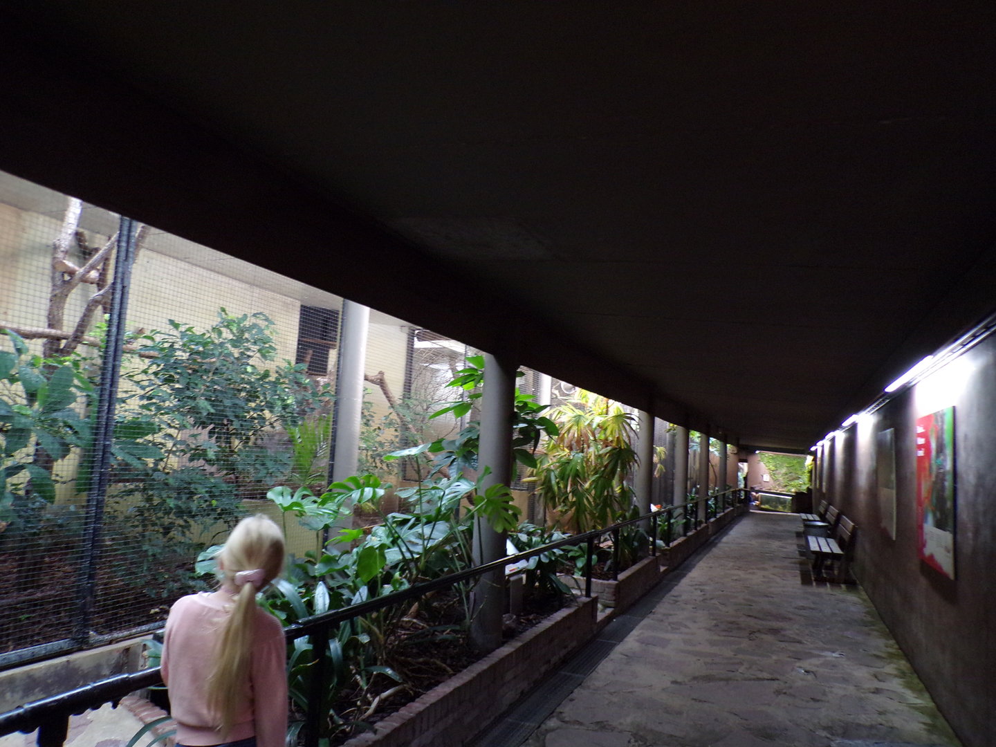 Bird house- View inside 6.7.23