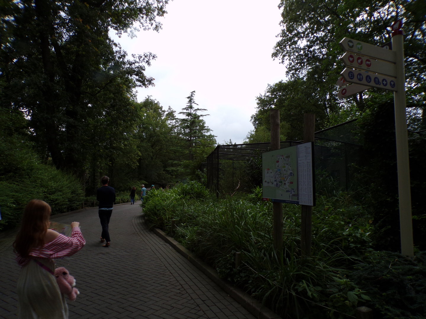 Bird house- view of outdoor cages 6.7.23