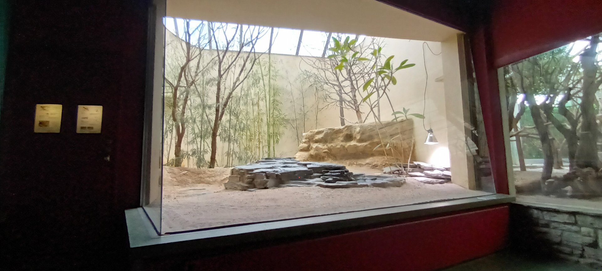 Bird House: Village Weaver Aviary