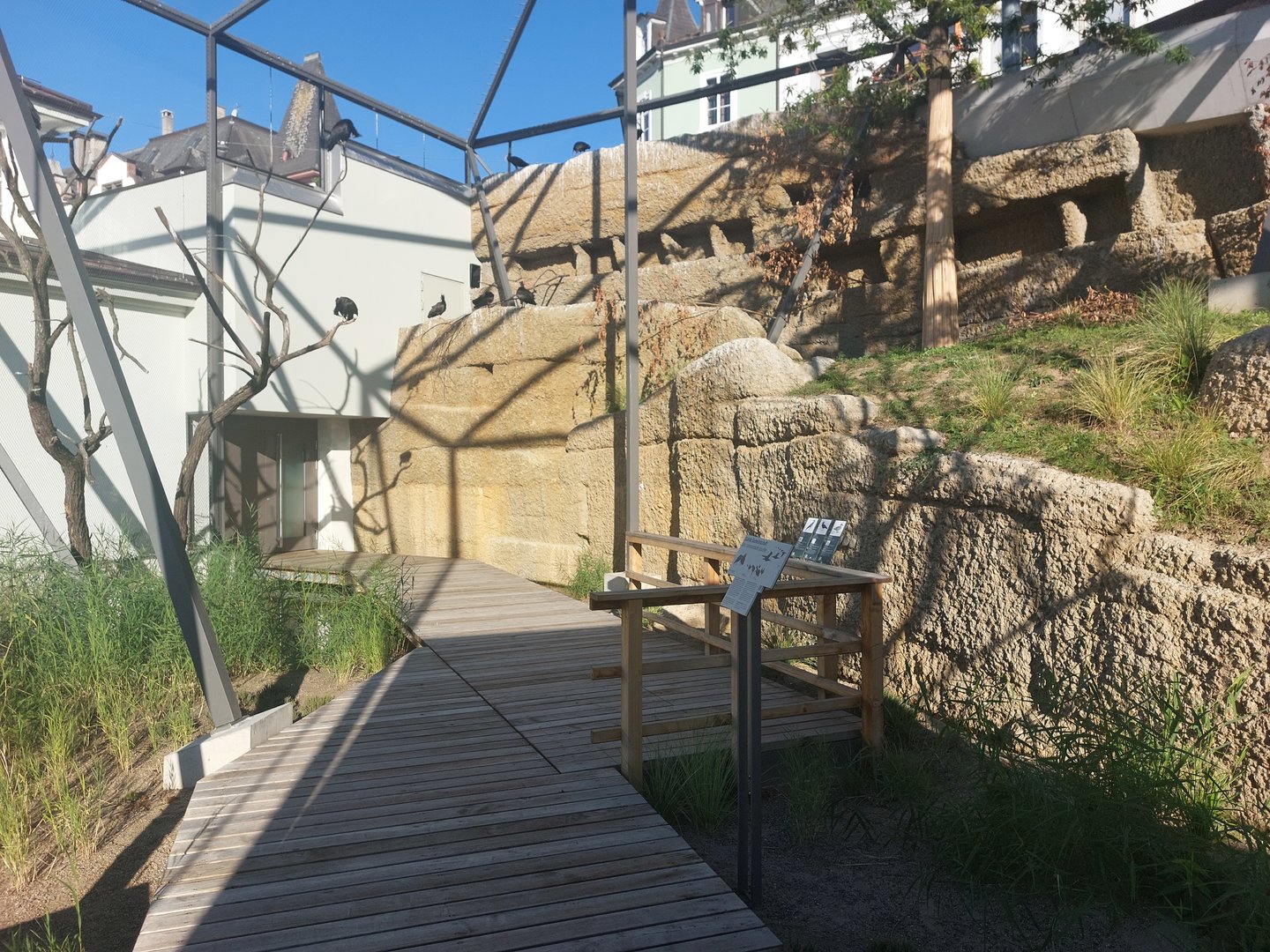 Bird house - Waldrapp walkthrough