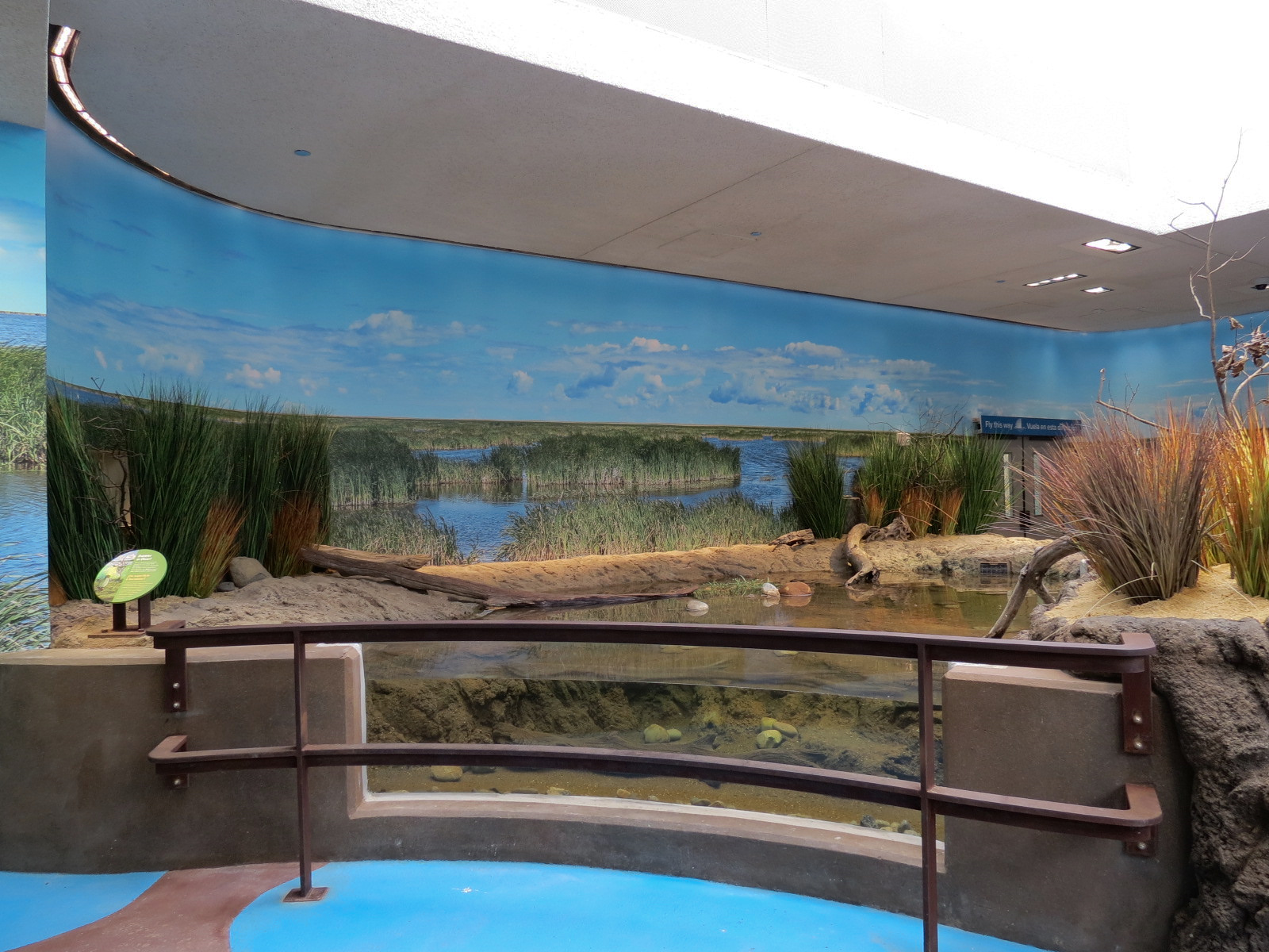 Bird House - Waterfowl Aviary