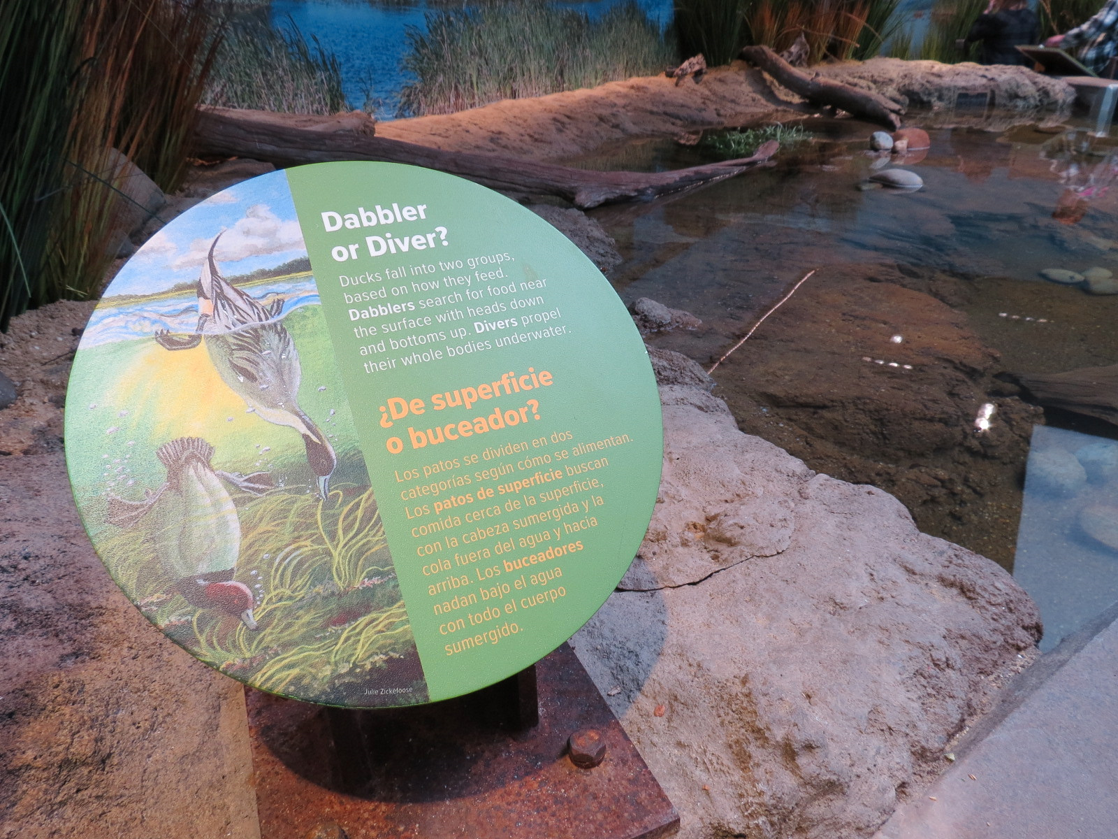 Bird House - Waterfowl Aviary