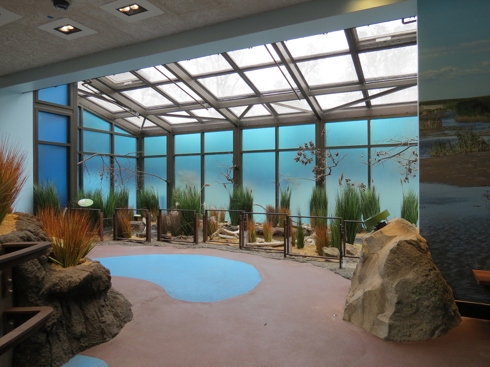 Bird House - Waterfowl Aviary