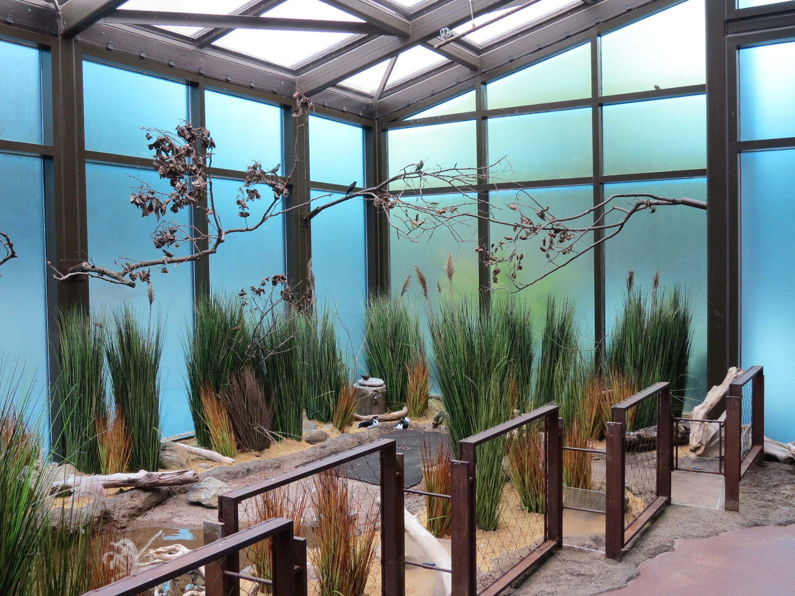 Bird House - Waterfowl Aviary