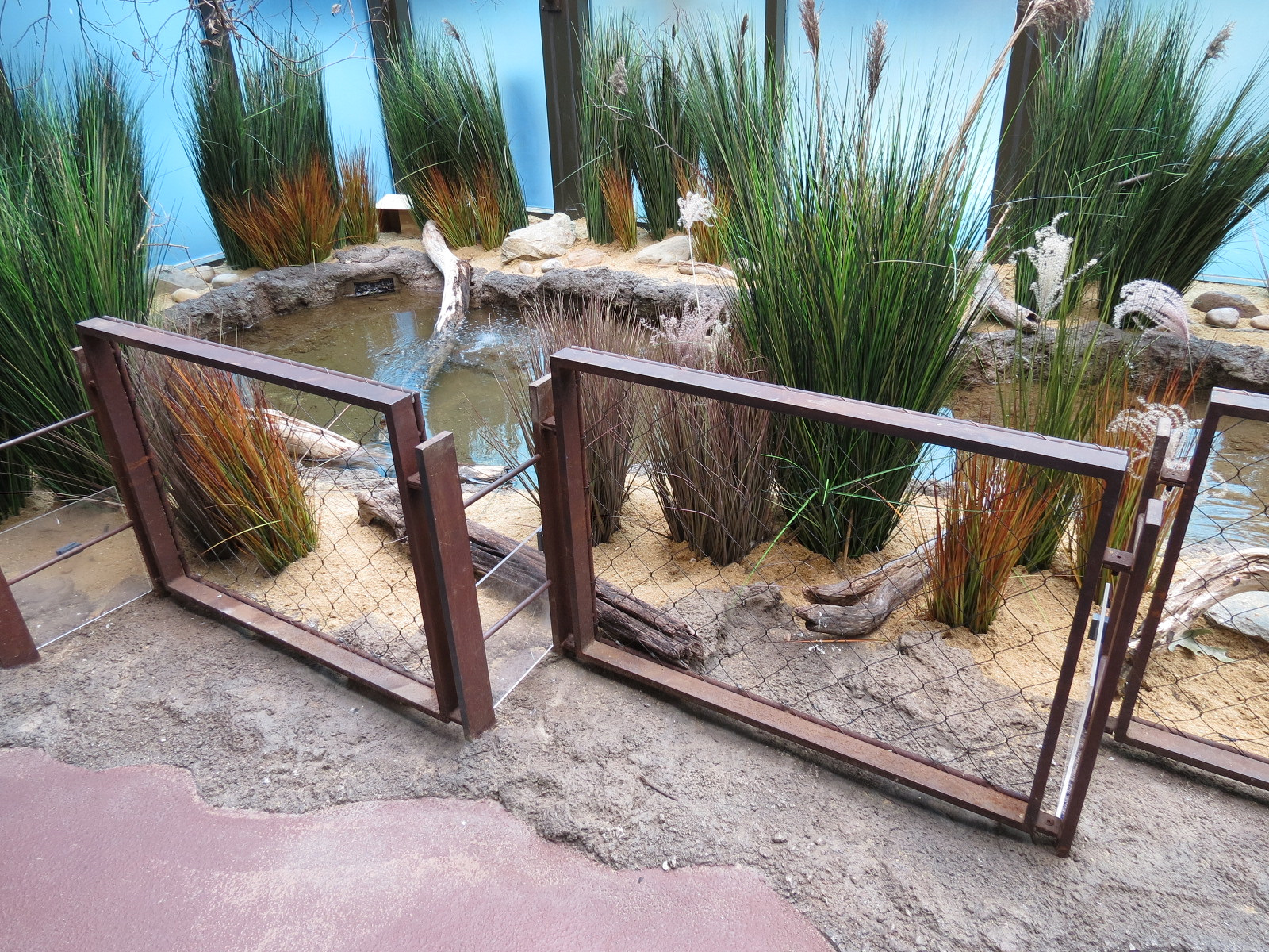 Bird House - Waterfowl Aviary