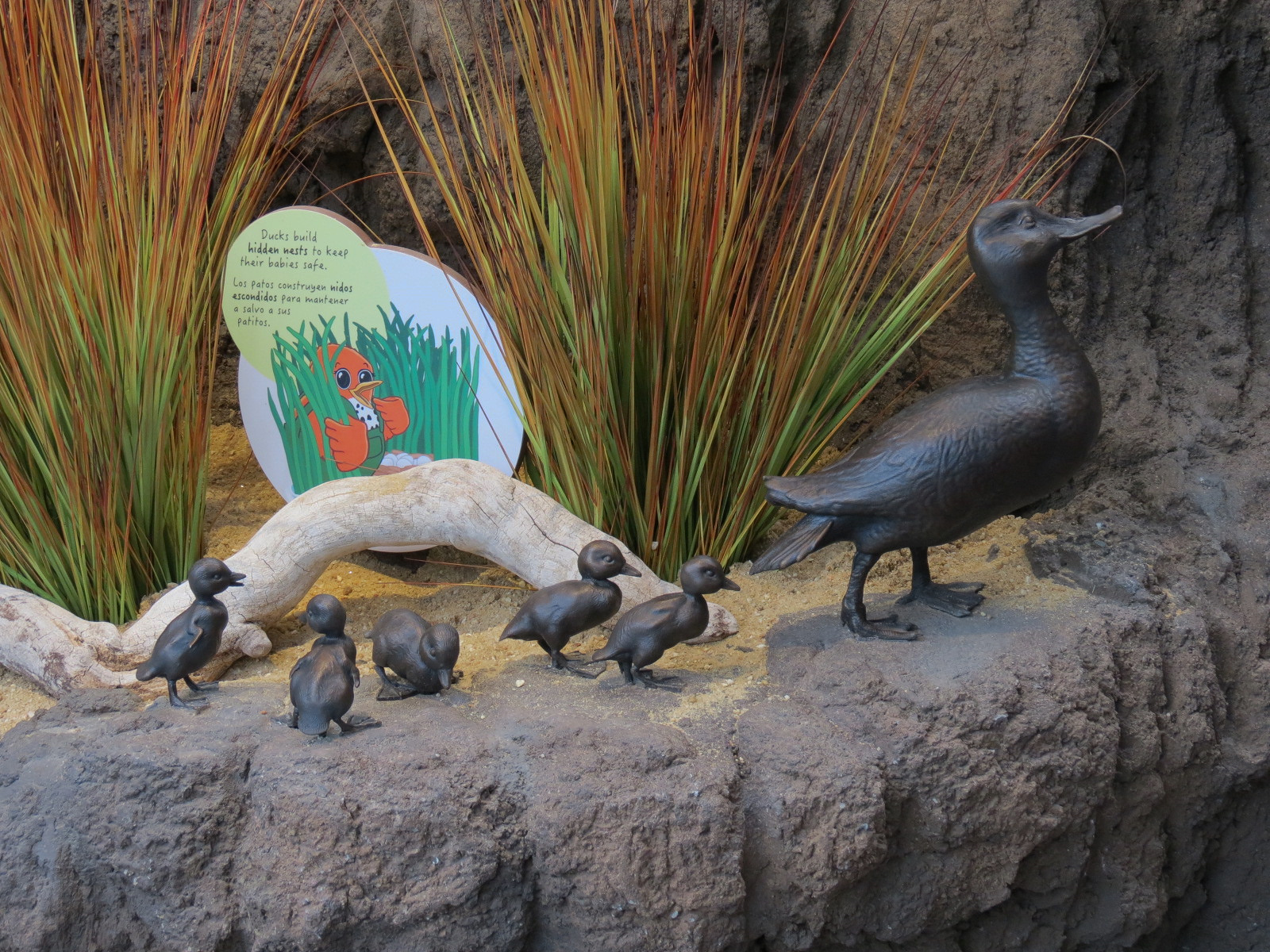 Bird House - Waterfowl Aviary