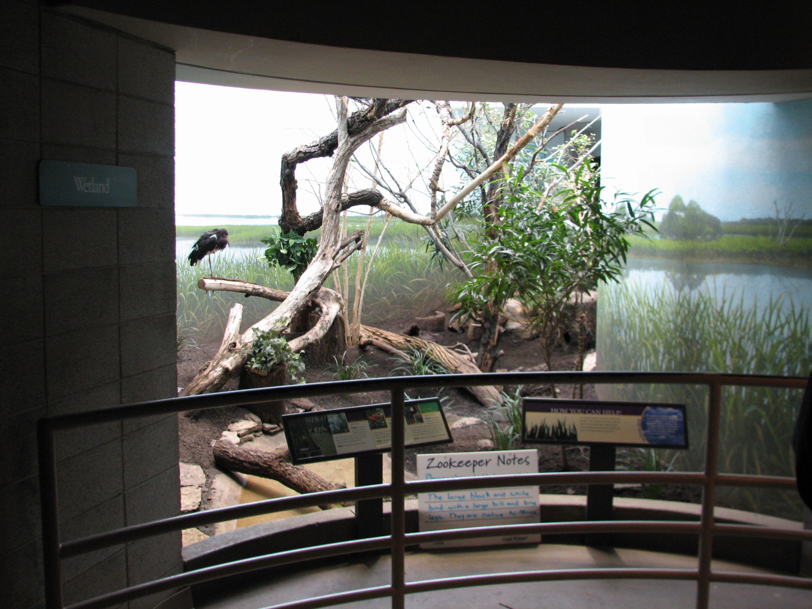 Bird House - Wetland Exhibit