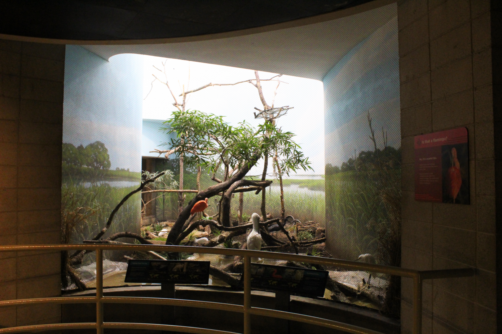 Bird House - Wetlands Exhibit