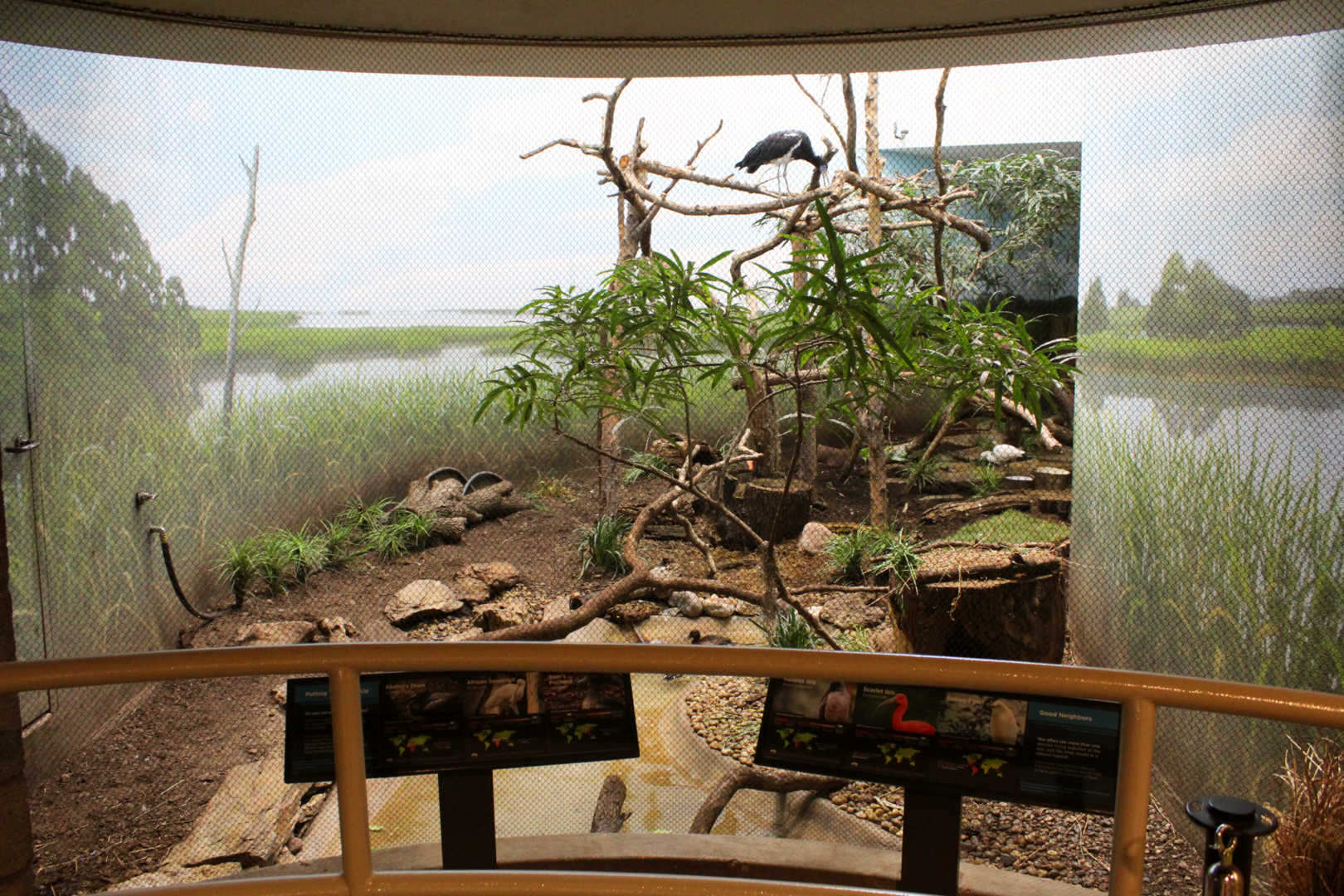 Bird House - Wetlands Exhibit