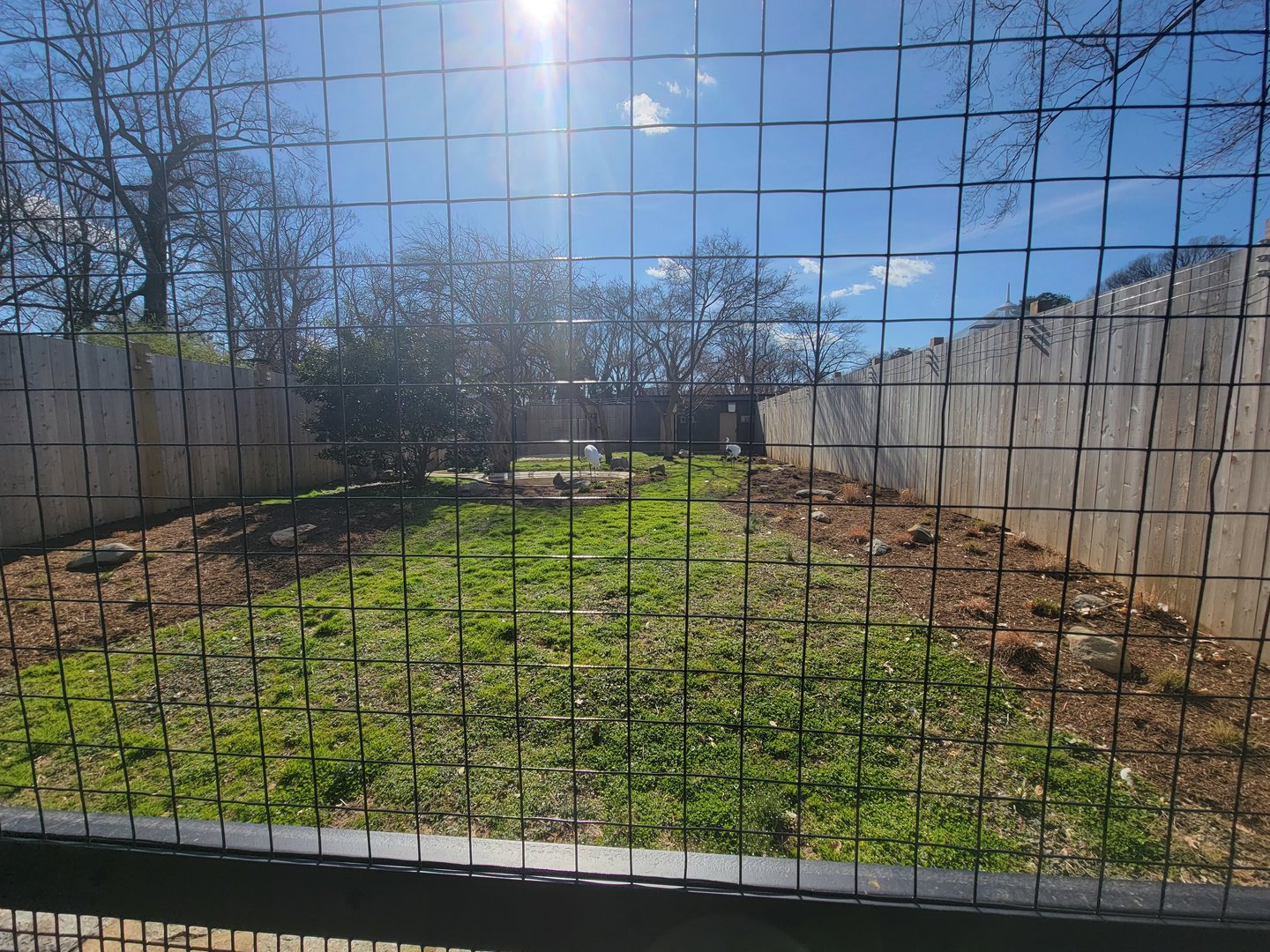 Bird House - Whooping Crane Exhibit