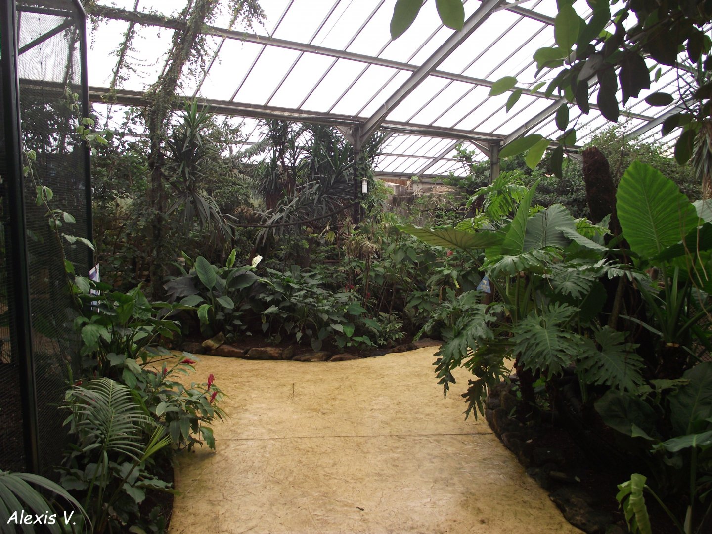 Bird House - Zooparc de Beauval - 05/2021