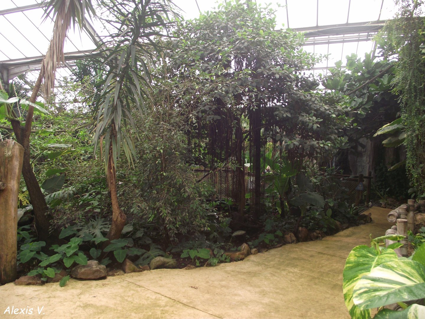 Bird House - Zooparc de Beauval - 05/2021