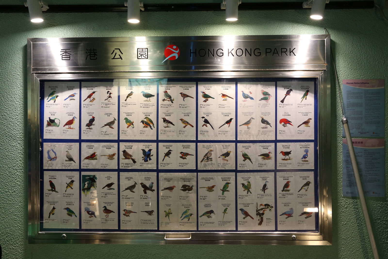 Bird ID Chart Inside The Entrance