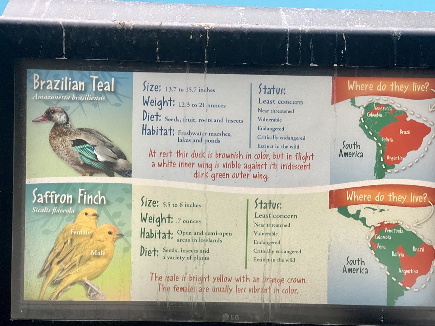 Bird ID Sign
