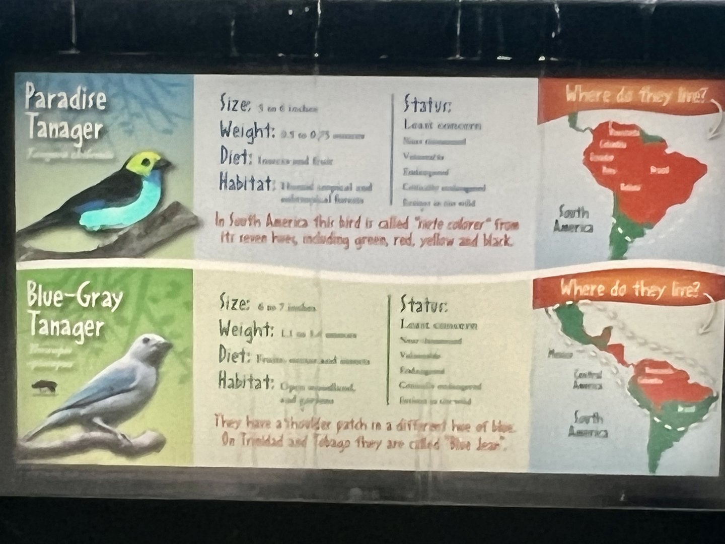 Bird ID Sign
