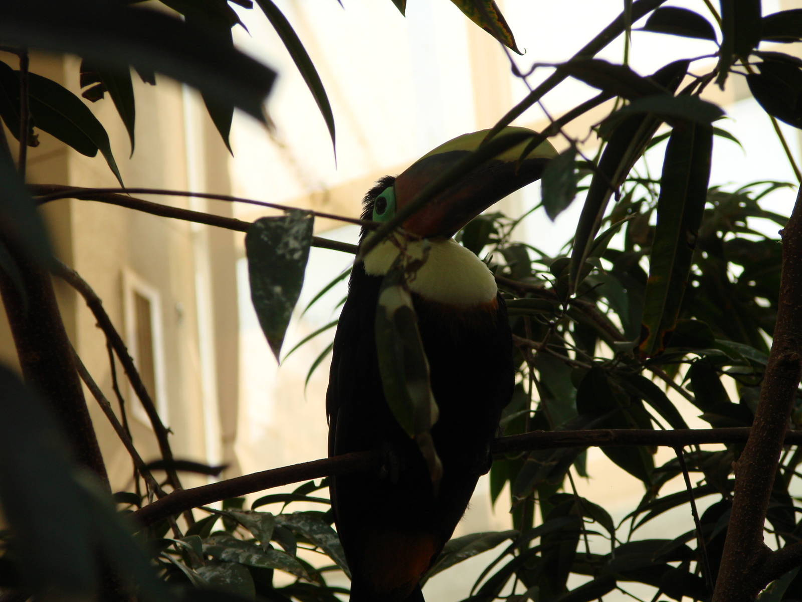 Bird Kingdom Visit - August 16th, 2009