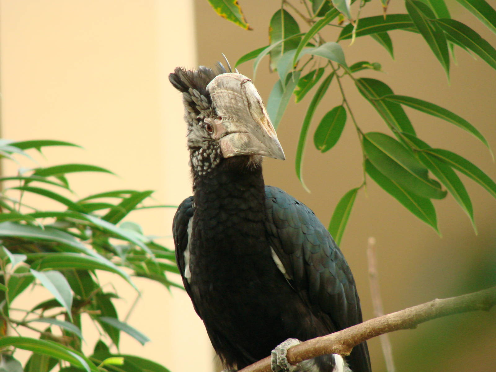 Bird Kingdom Visit - August 16th, 2009