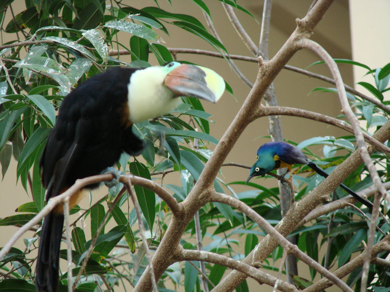 Bird Kingdom Visit - August 16th, 2009