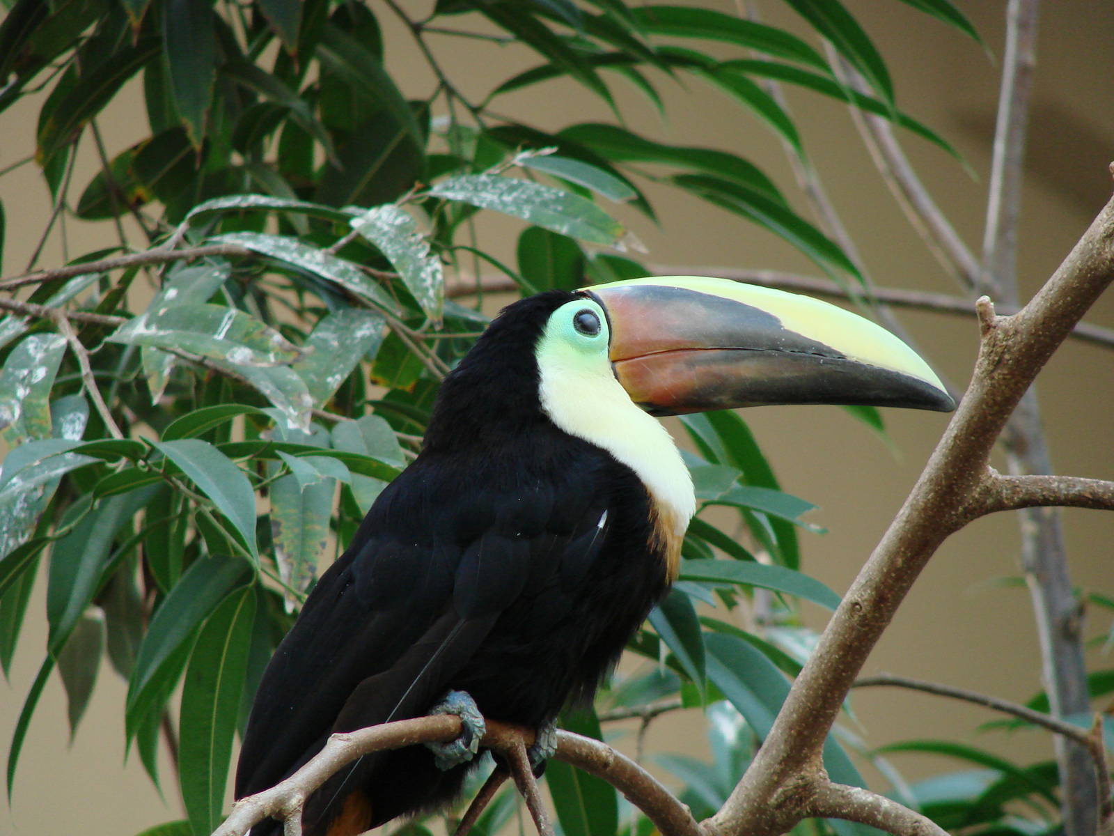 Bird Kingdom Visit - August 16th, 2009