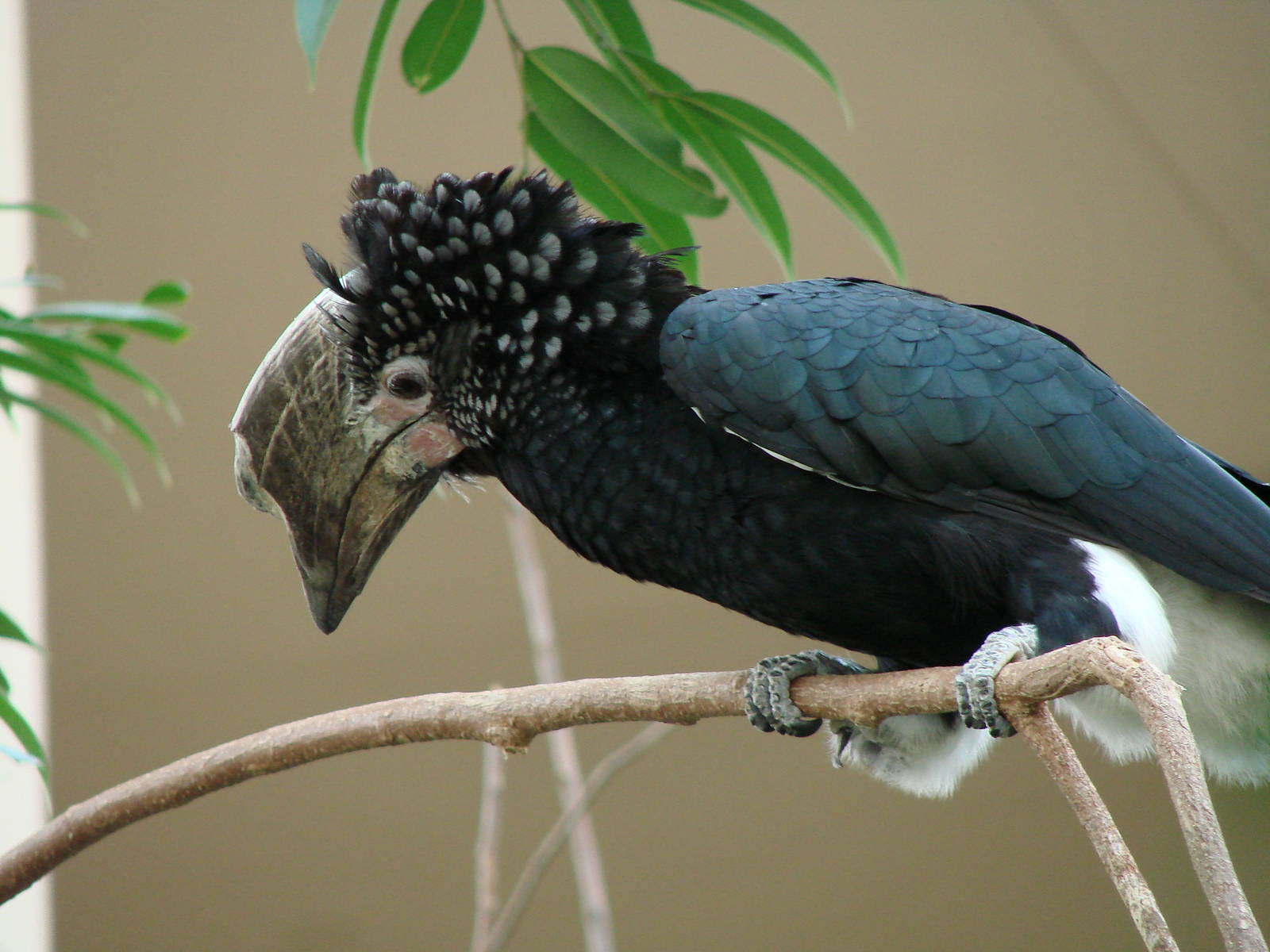 Bird Kingdom Visit - August 16th, 2009