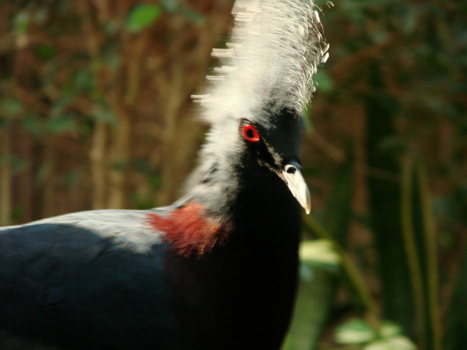 Bird Kingdom Visit - August 16th, 2009