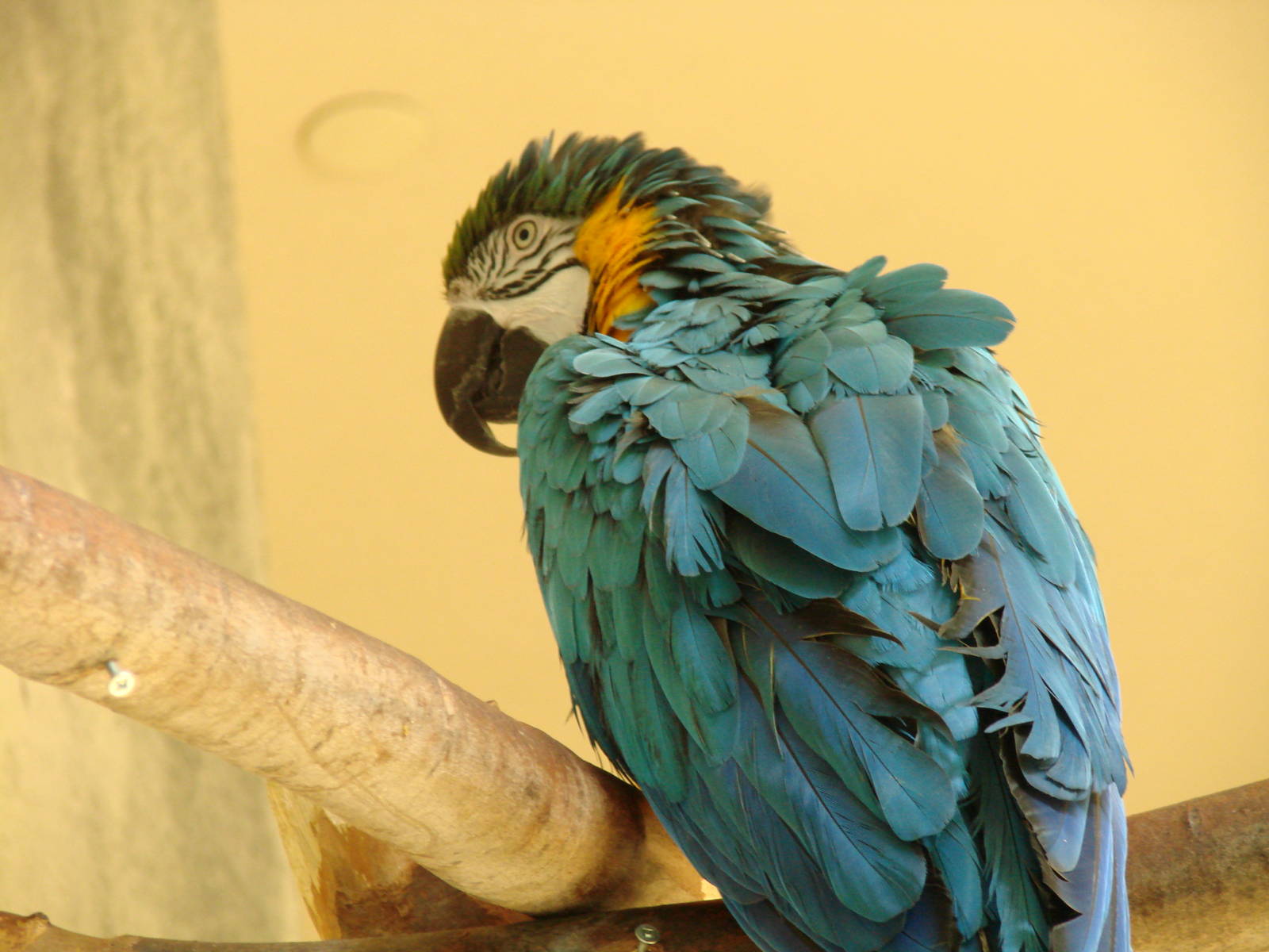 Bird Kingdom Visit - August 16th, 2009