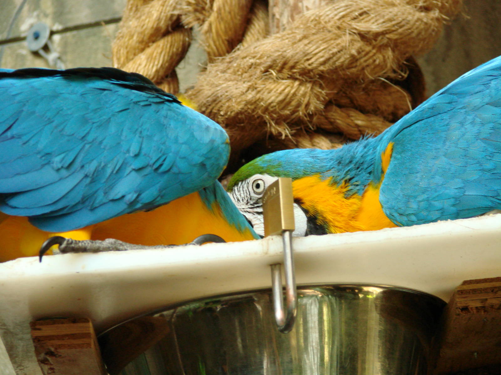 Bird Kingdom Visit - August 16th, 2009