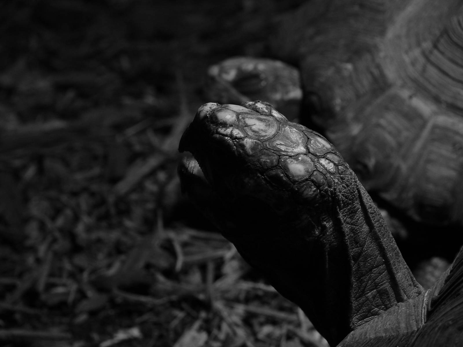 Bird Kingdom Visit - August 16th, 2009