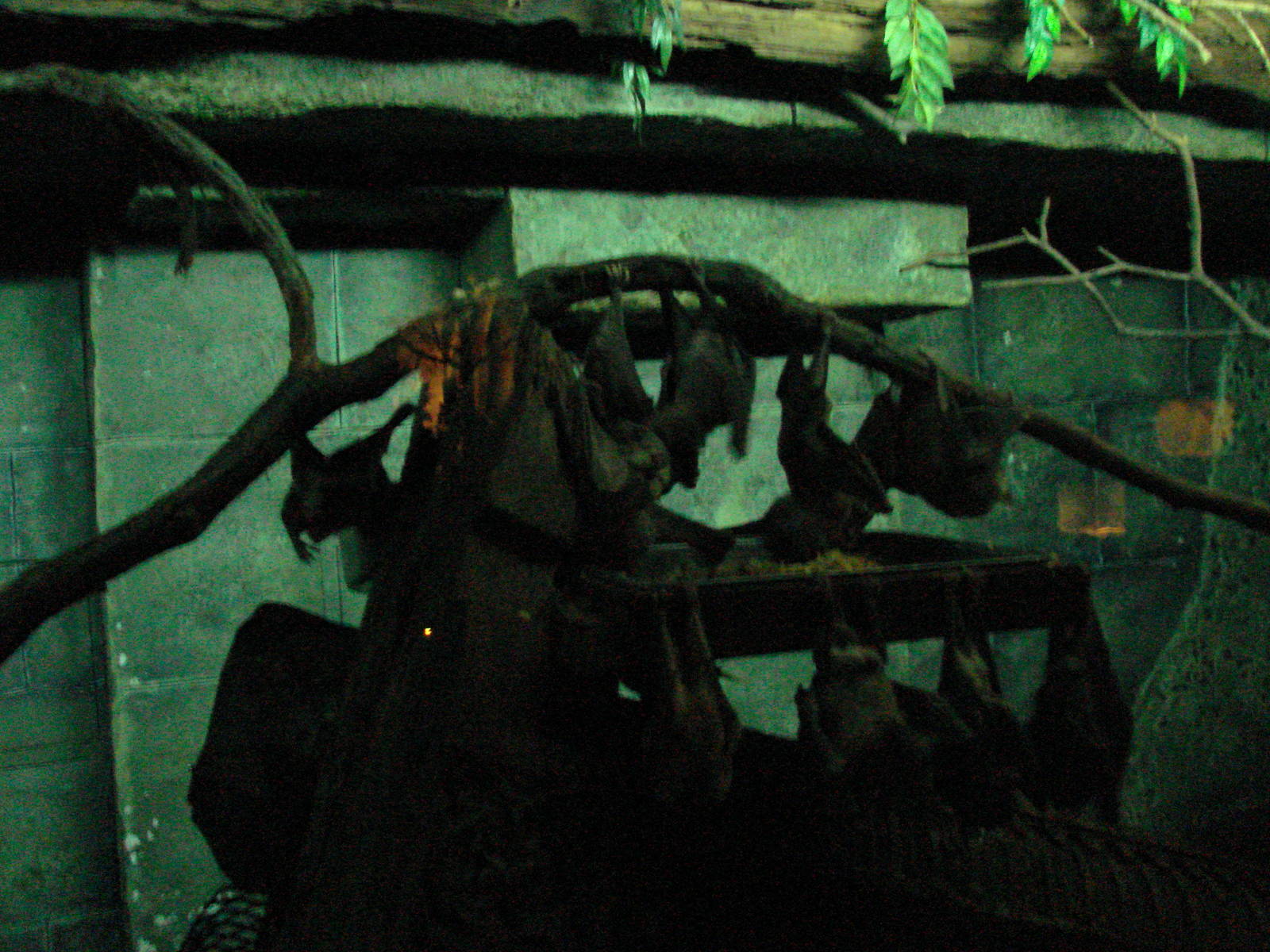 Bird Kingdom Visit - August 16th, 2009