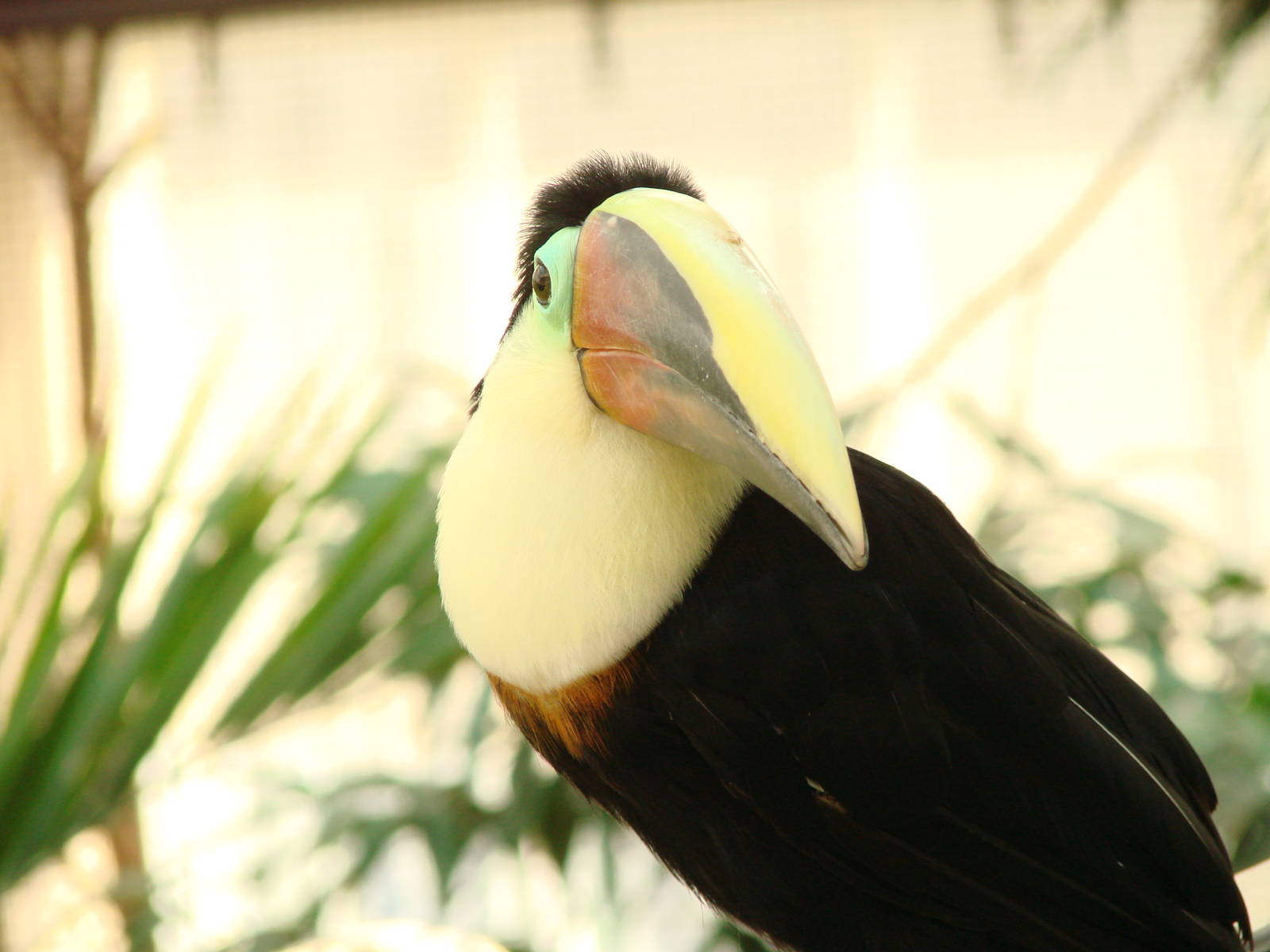 Bird Kingdom Visit - August 16th, 2009