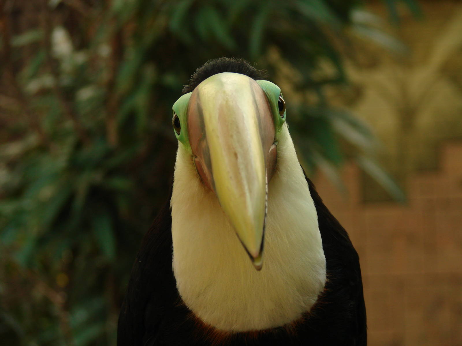 Bird Kingdom Visit - August 16th, 2009