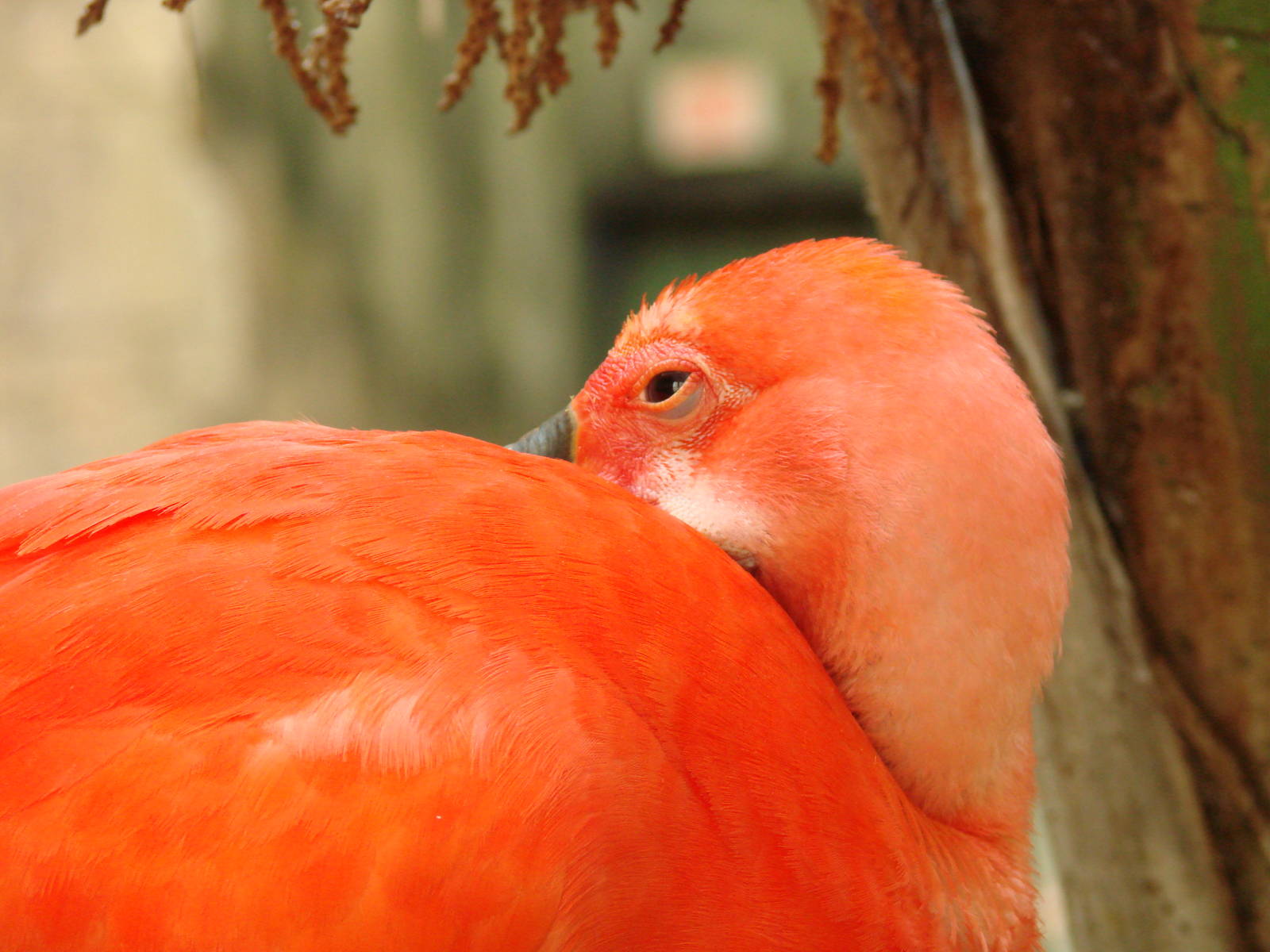 Bird Kingdom Visit - August 16th, 2009
