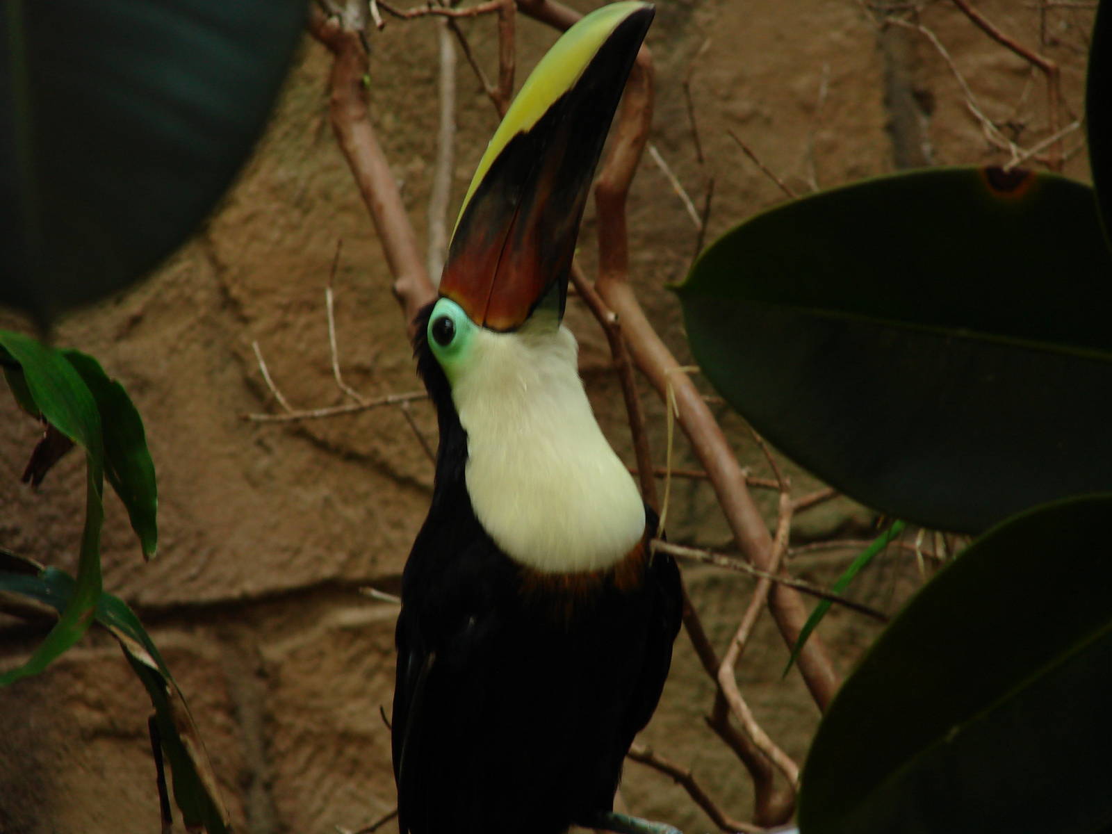 Bird Kingdom Visit - August 16th, 2009