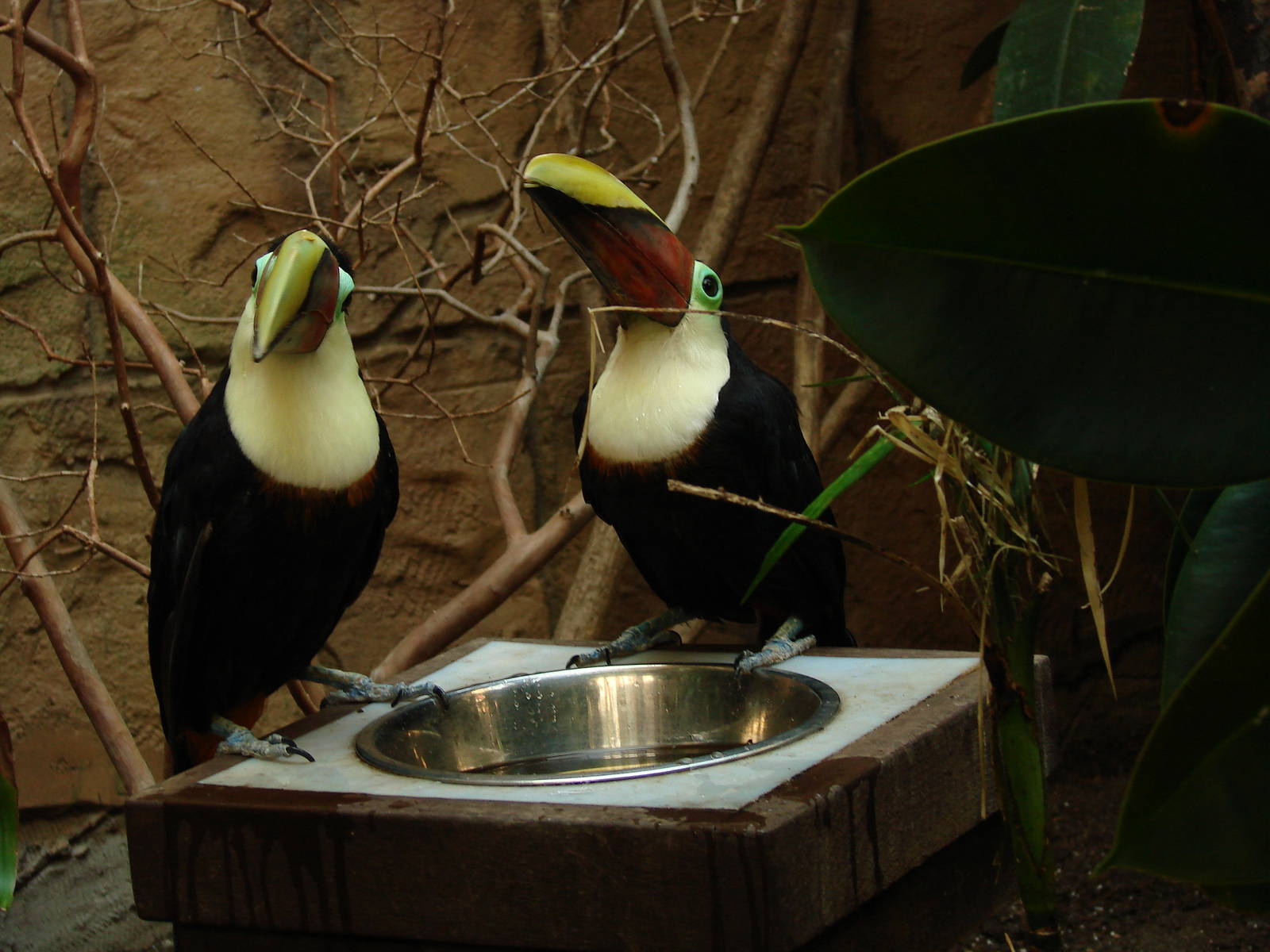 Bird Kingdom Visit - August 16th, 2009