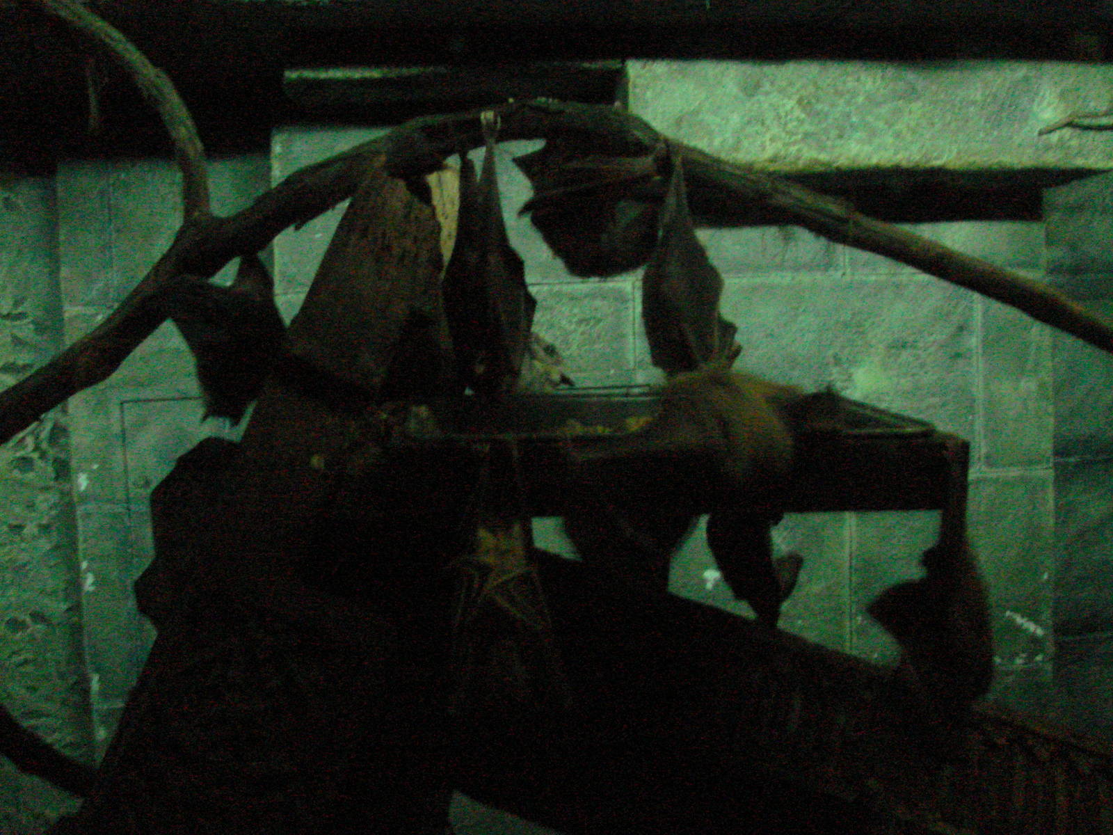 Bird Kingdom Visit - August 16th, 2009