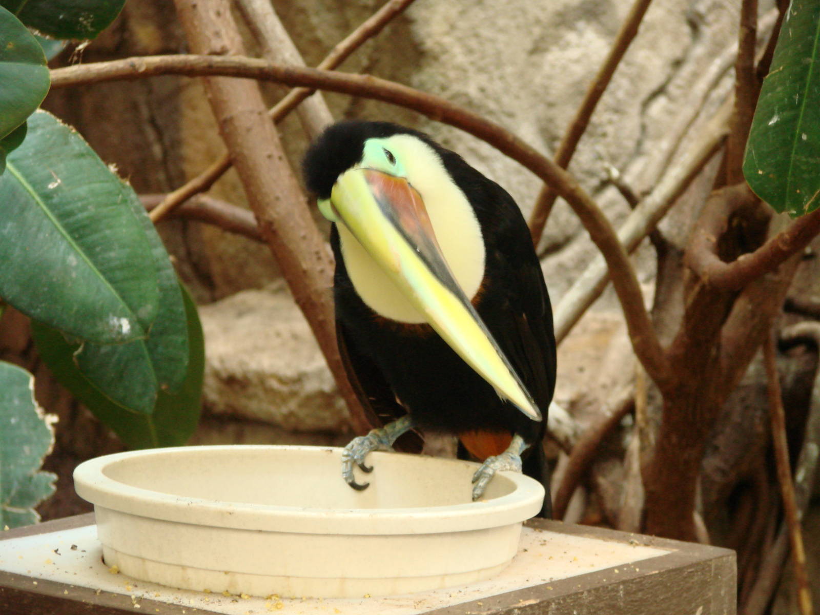 Bird Kingdom Visit - August 16th, 2009