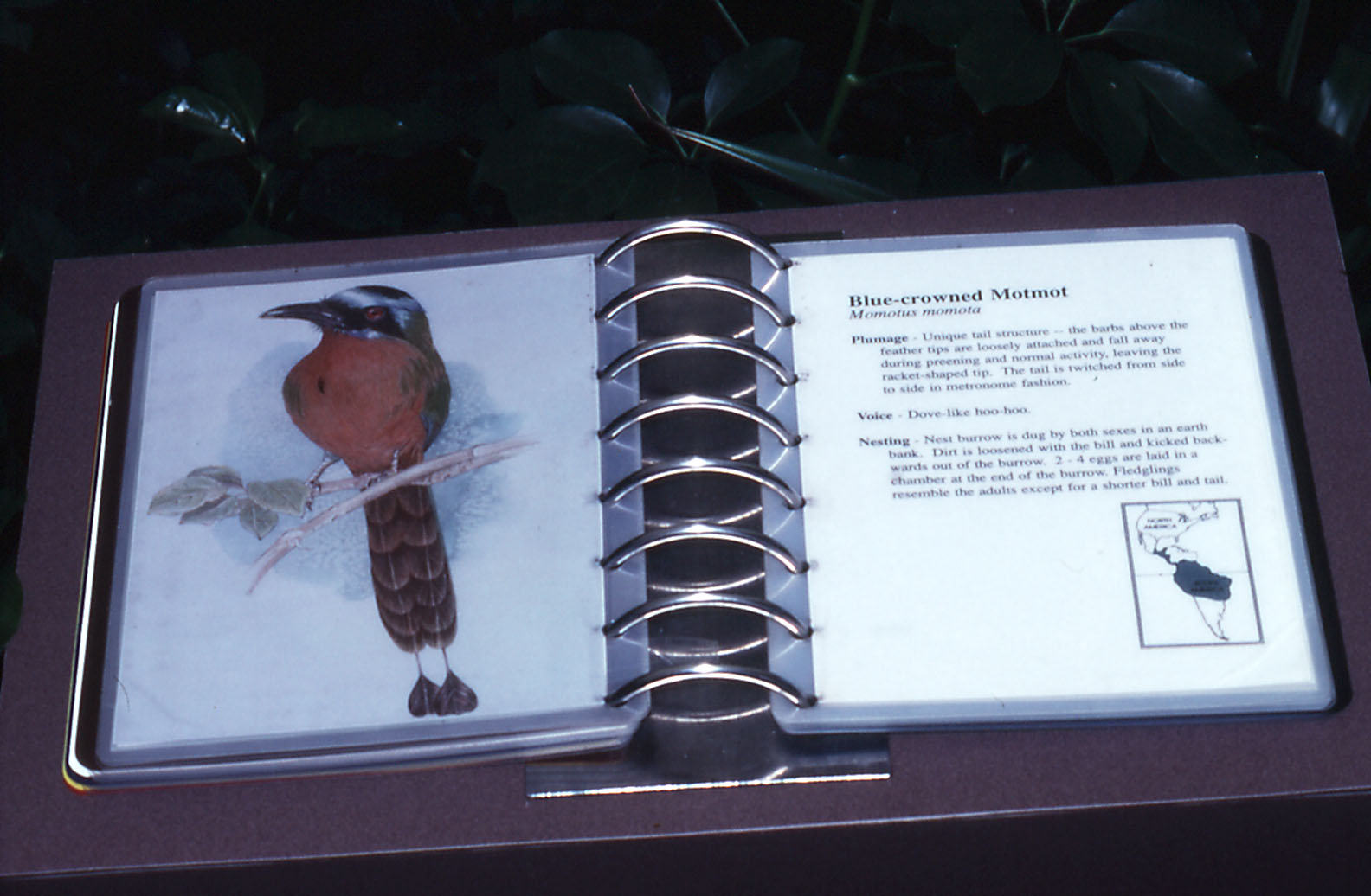 Bird Label Book