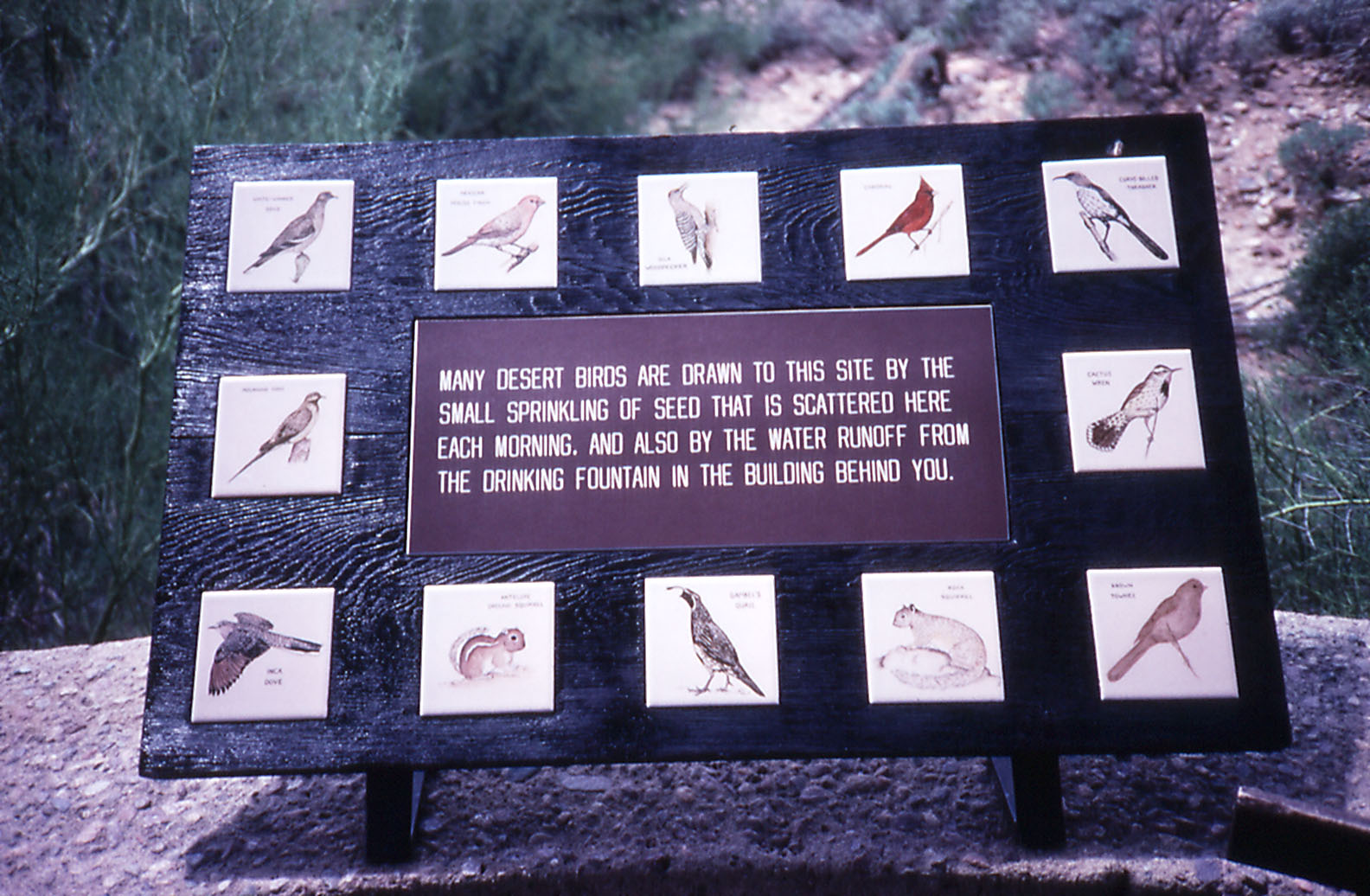 Bird Labels - 1988