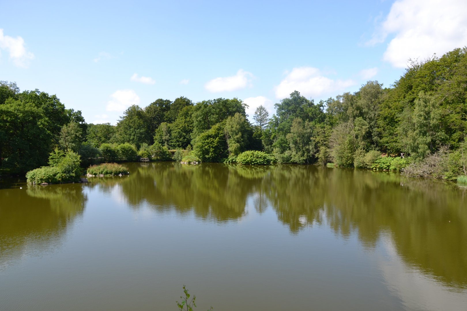 Bird lake at Skånes djurpark