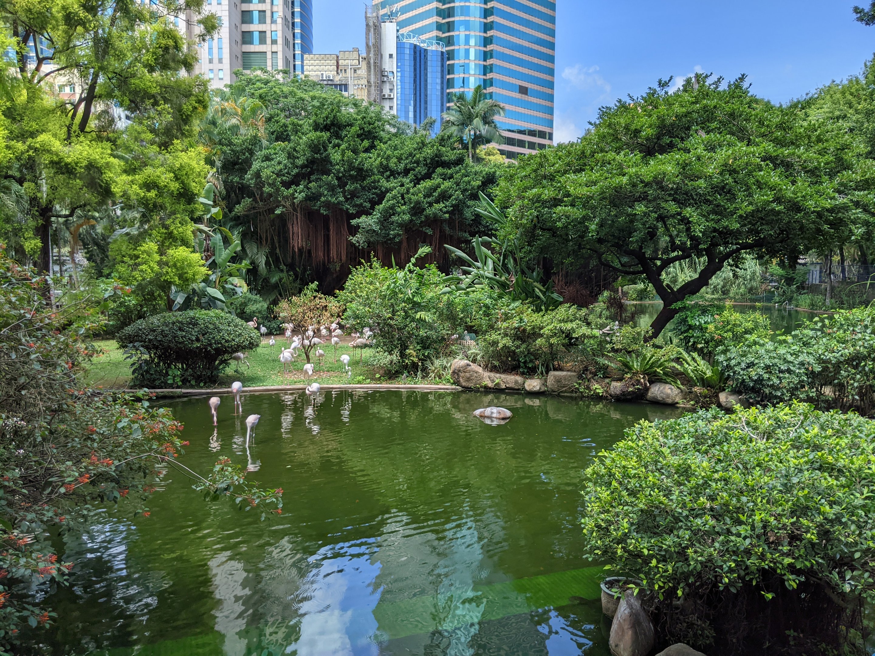 Bird Lake, Kowloon Park