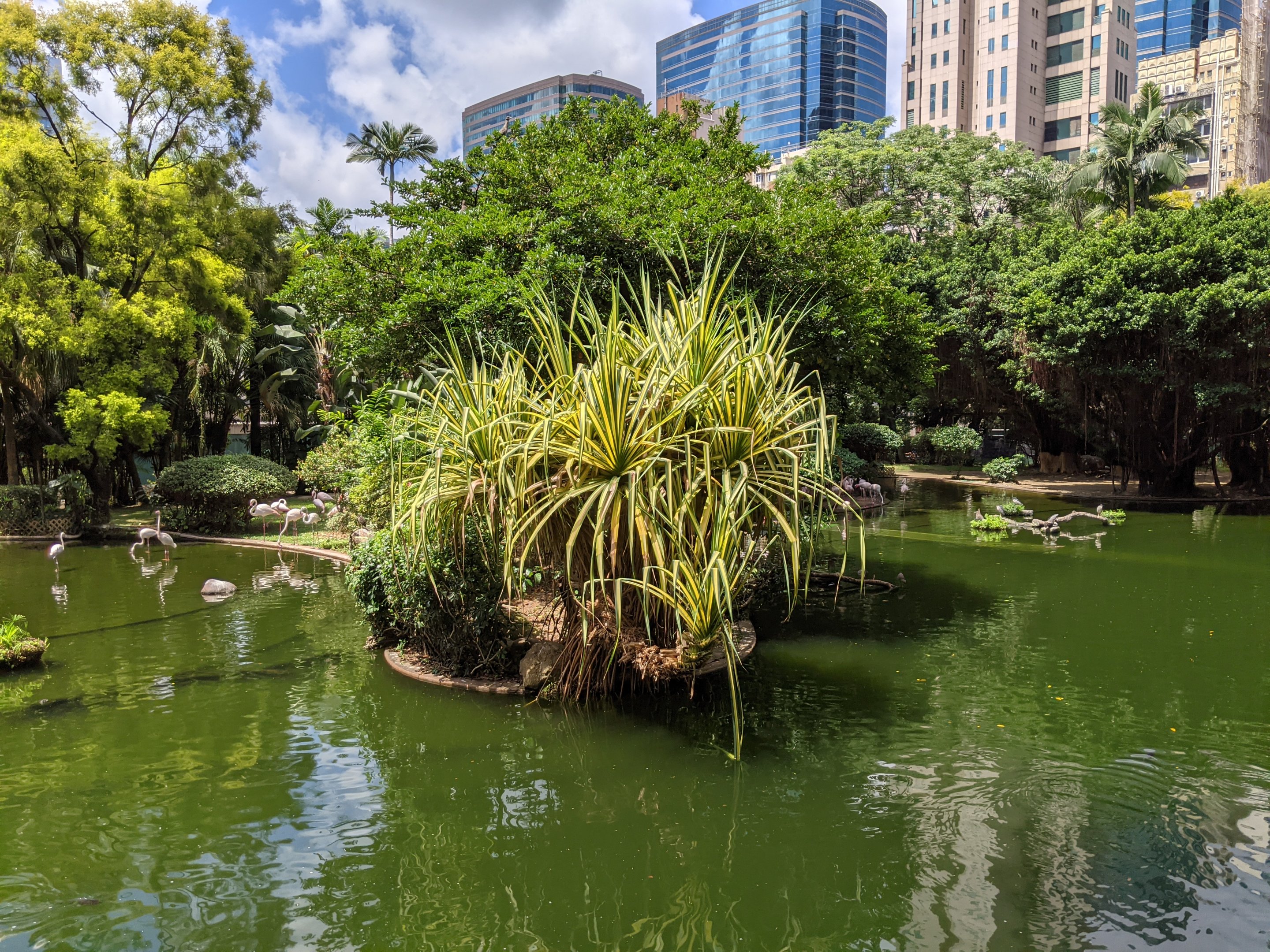 Bird Lake, Kowloon Park