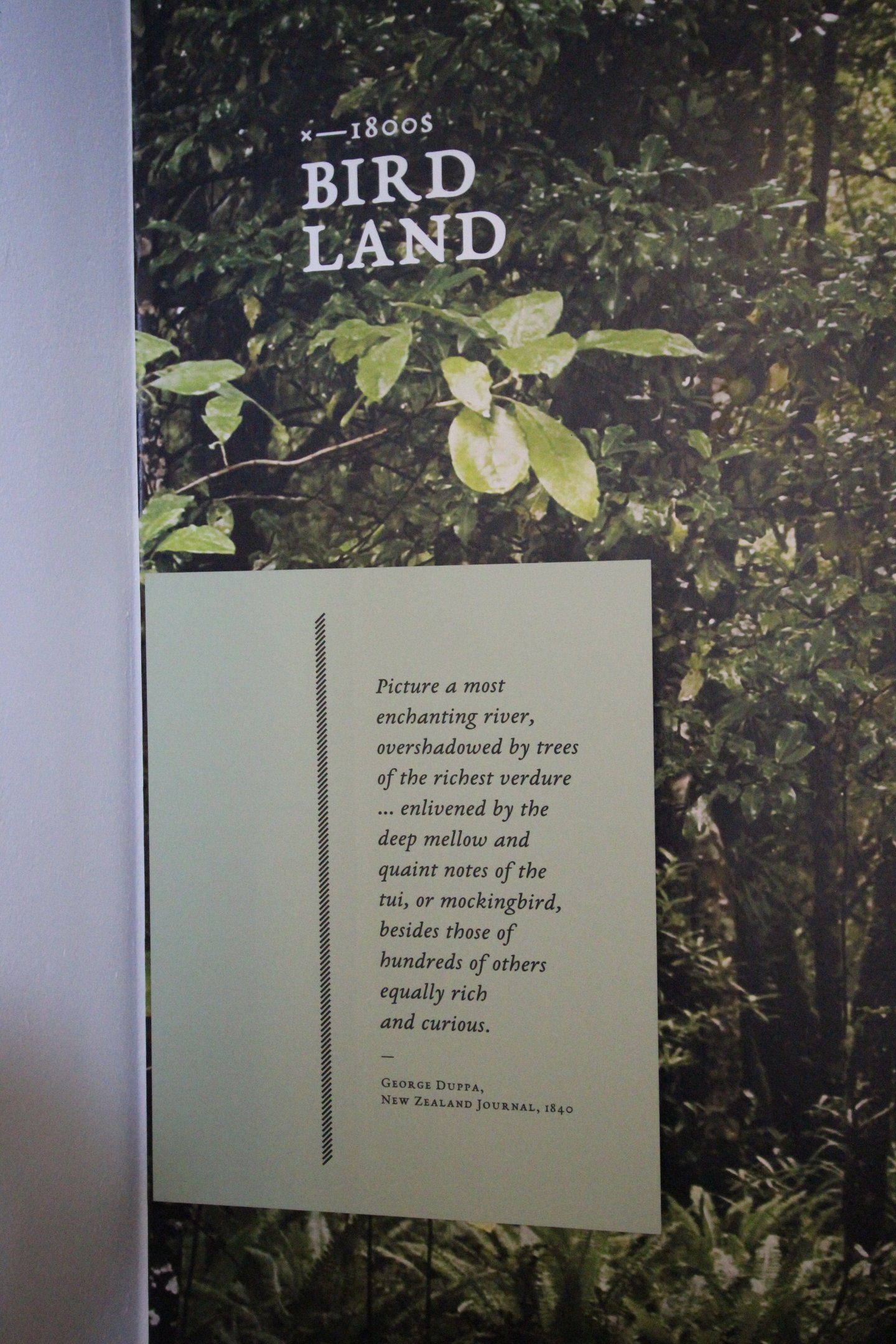 "Bird Land" (taxidermy birds) signage, Petone Settlers Museum