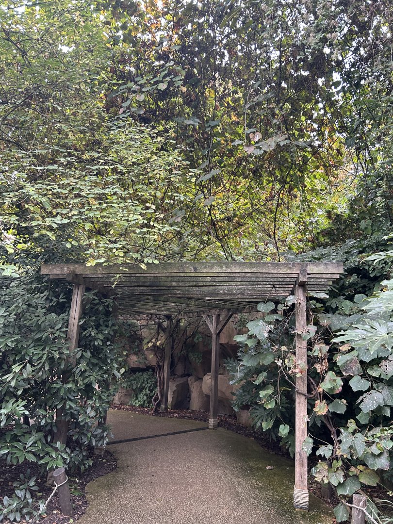 Bird landing spot at the Savannah Aviary