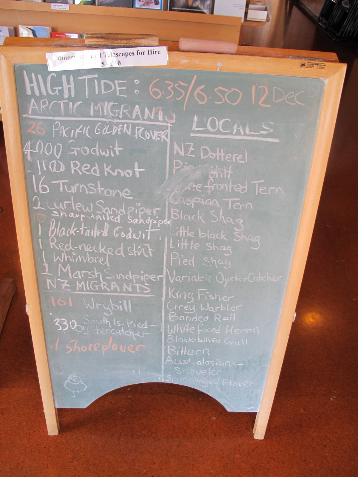 Bird List - Miranda 2012