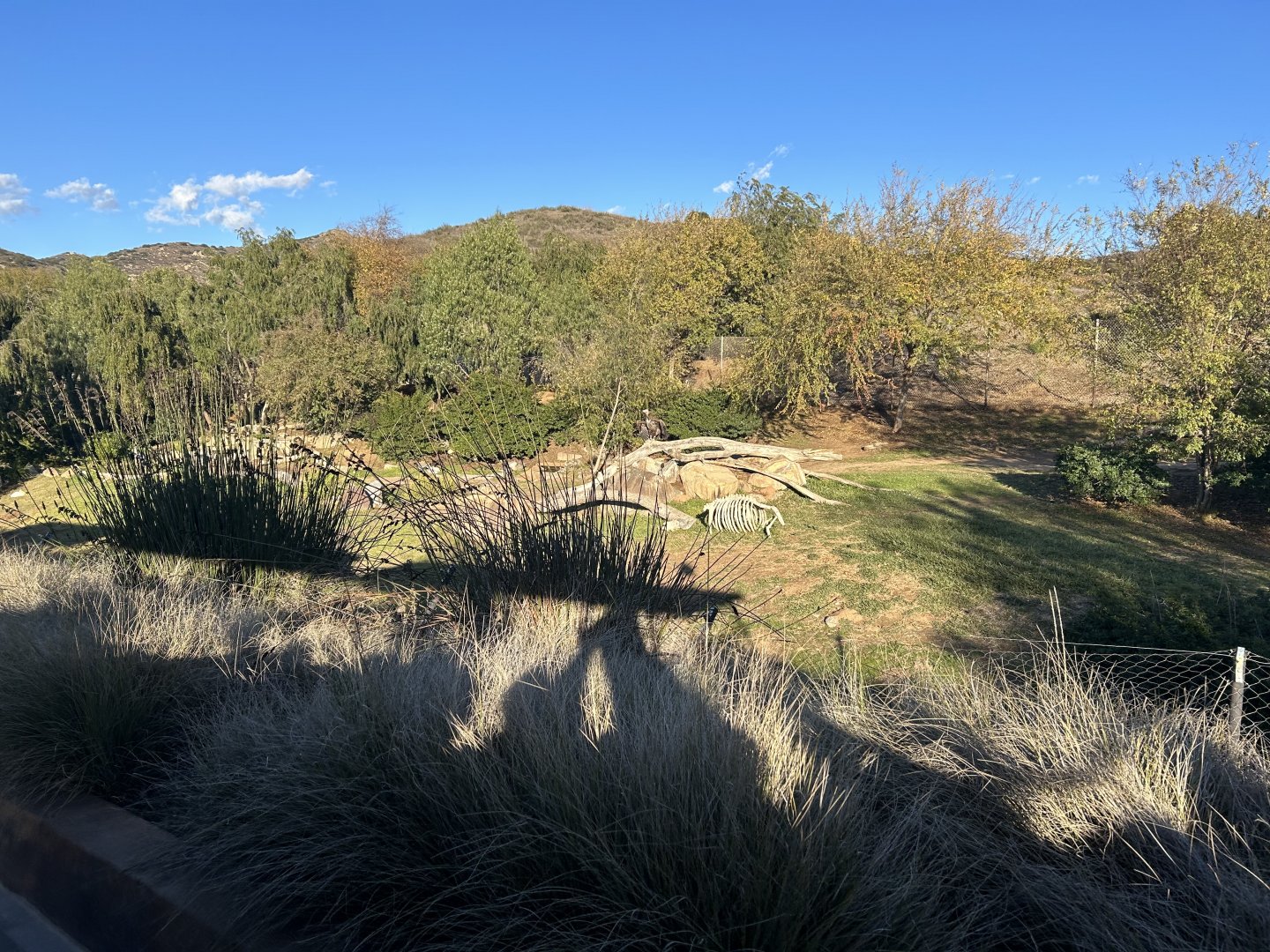 Bird Marsh Exhibit (5 species)